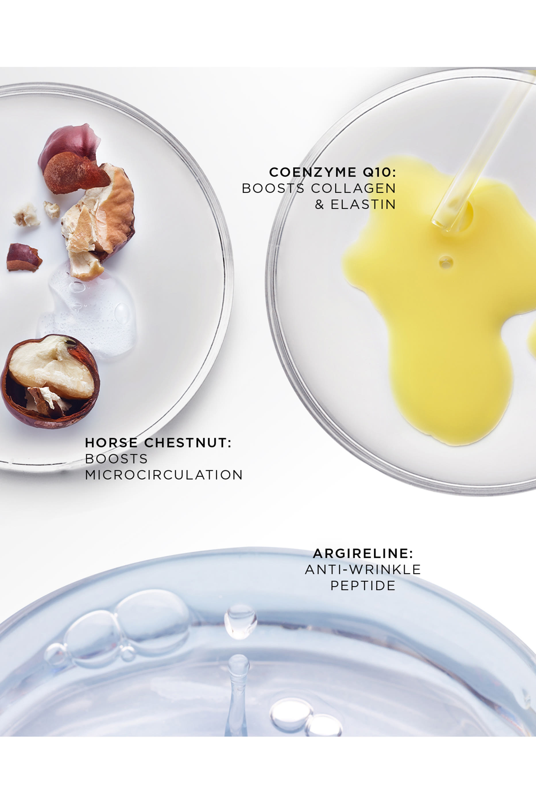 The Absolute Restoring Eye Cream