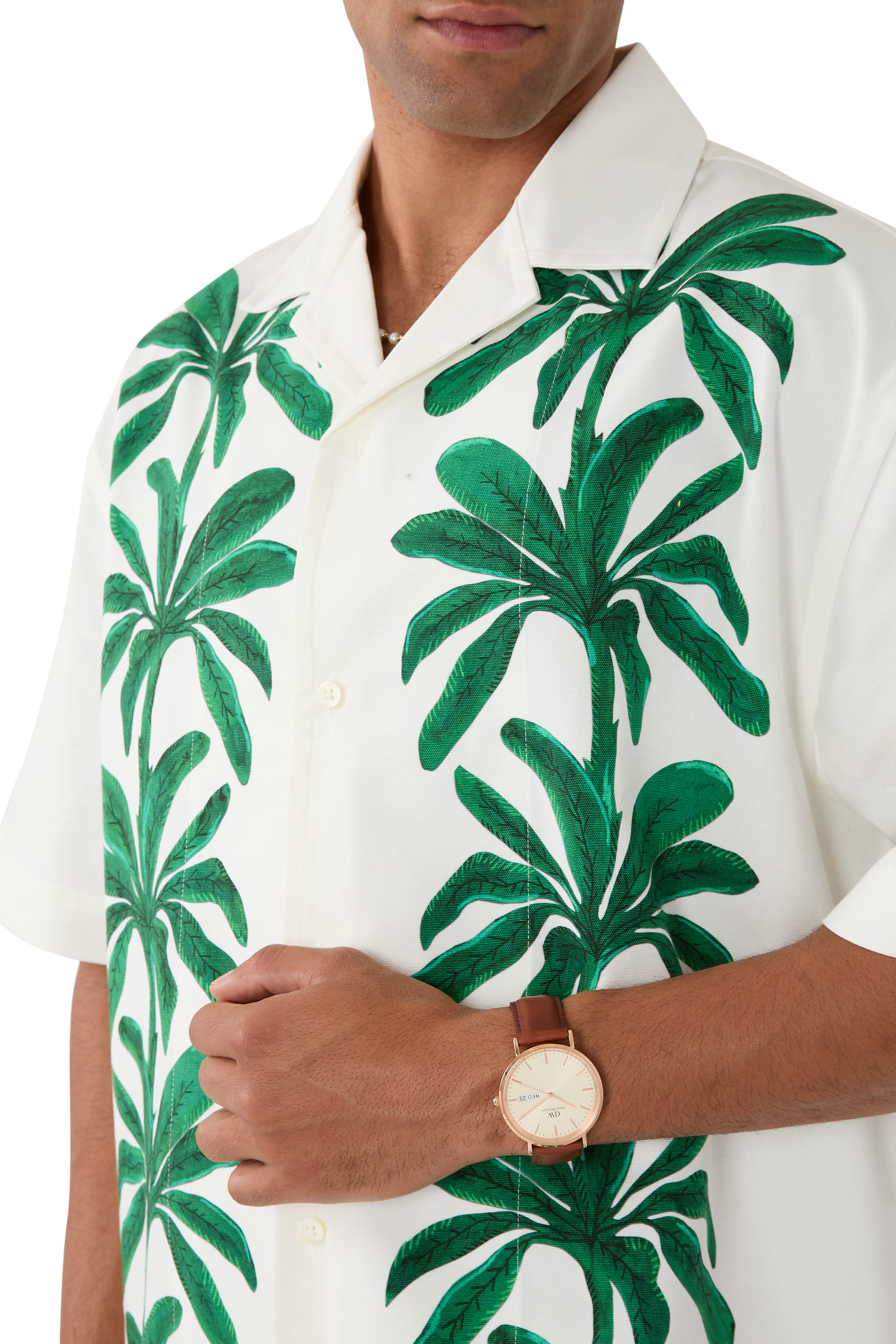 Classic Day Display Watch