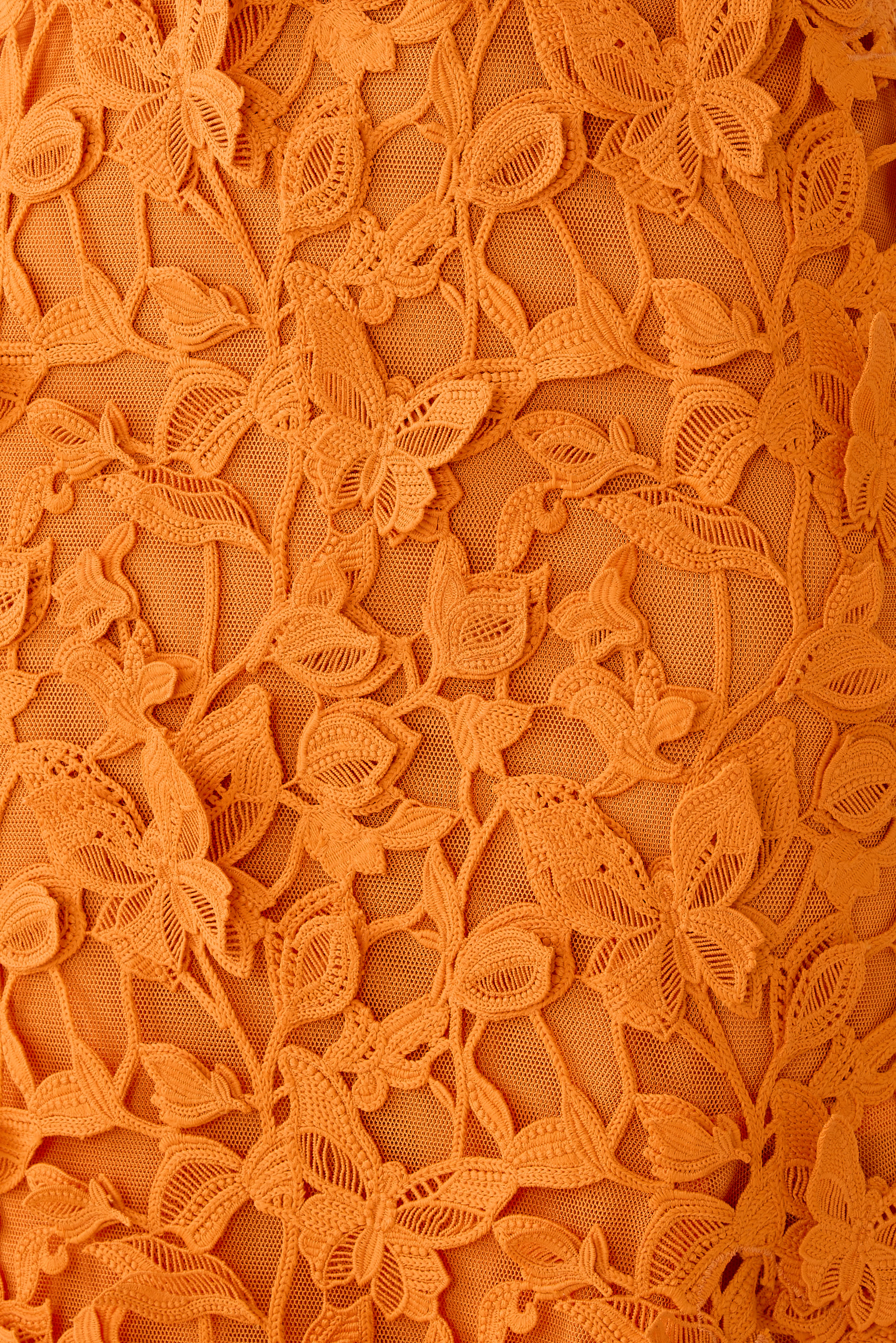 Fleurella Applique Midi Dress