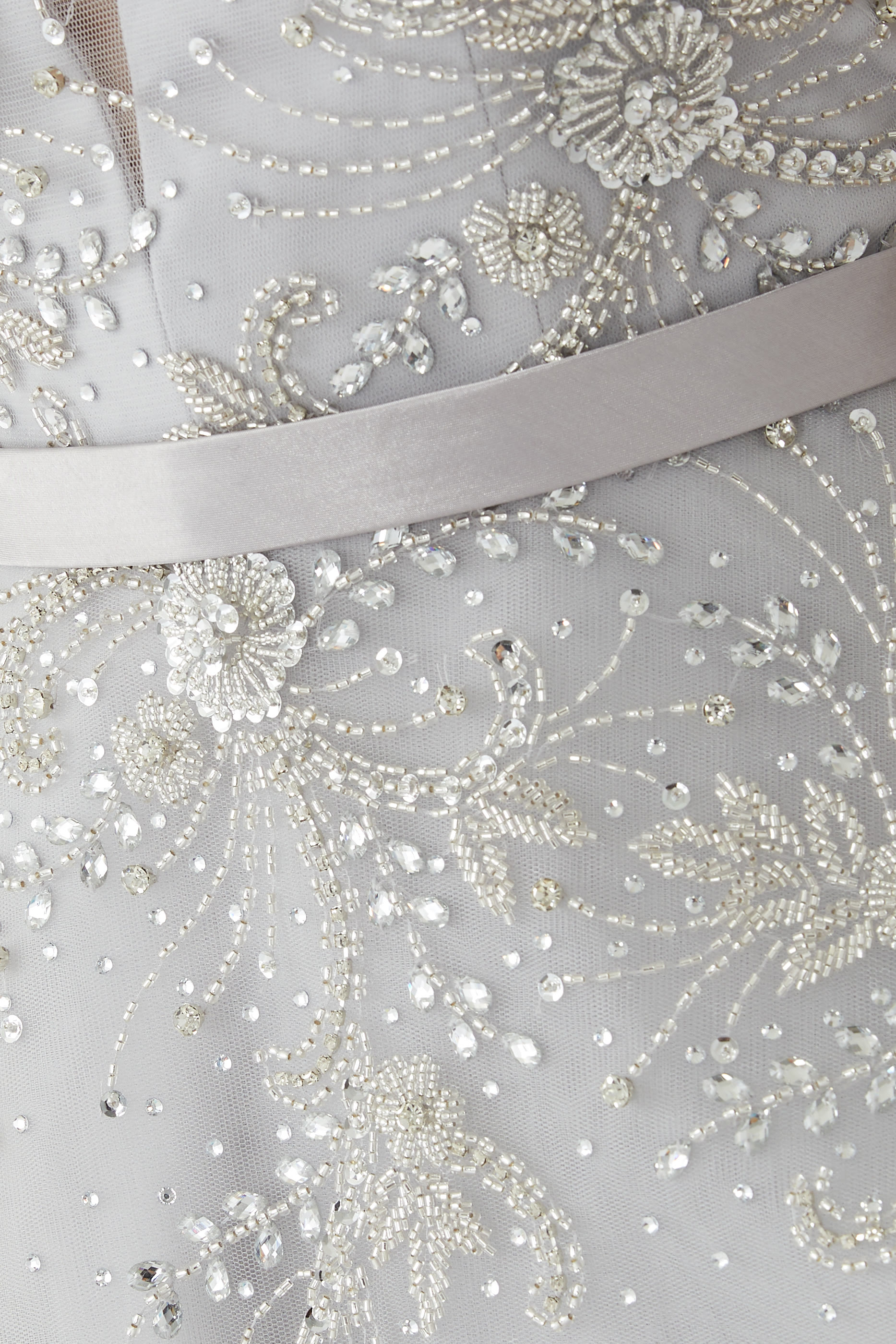 Long Sleeves Tulle Gown