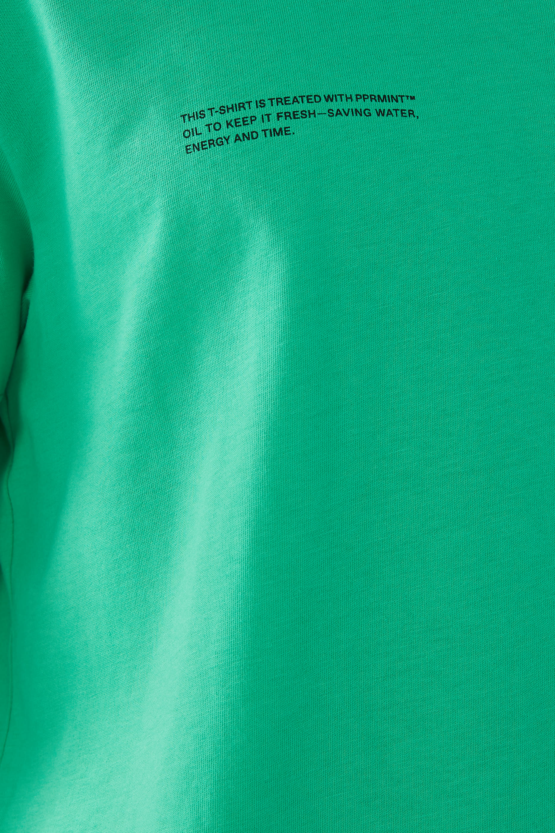 Organic Cotton T-Shirt