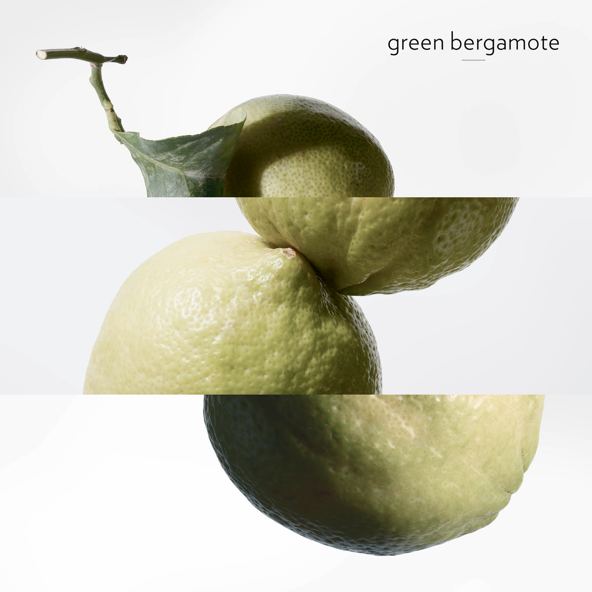 Eau de Basilic Pourpre, Eau de Cologne