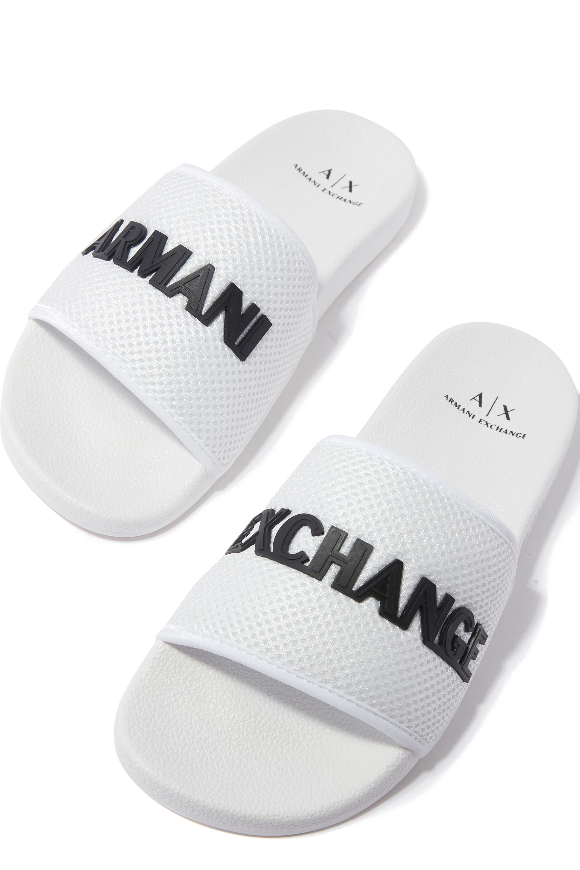 Logo Mesh Slides