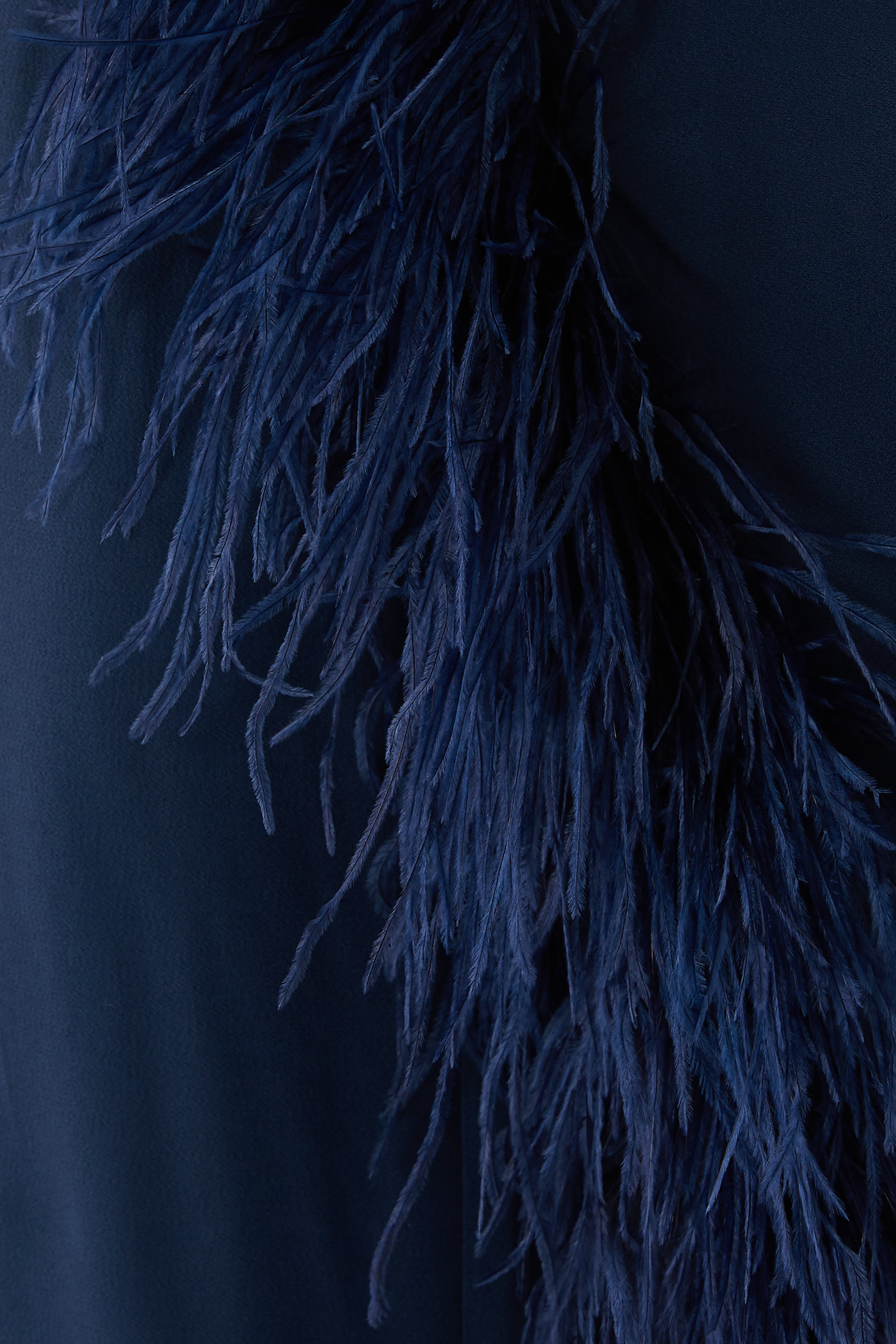 Feathered Eternity Dress