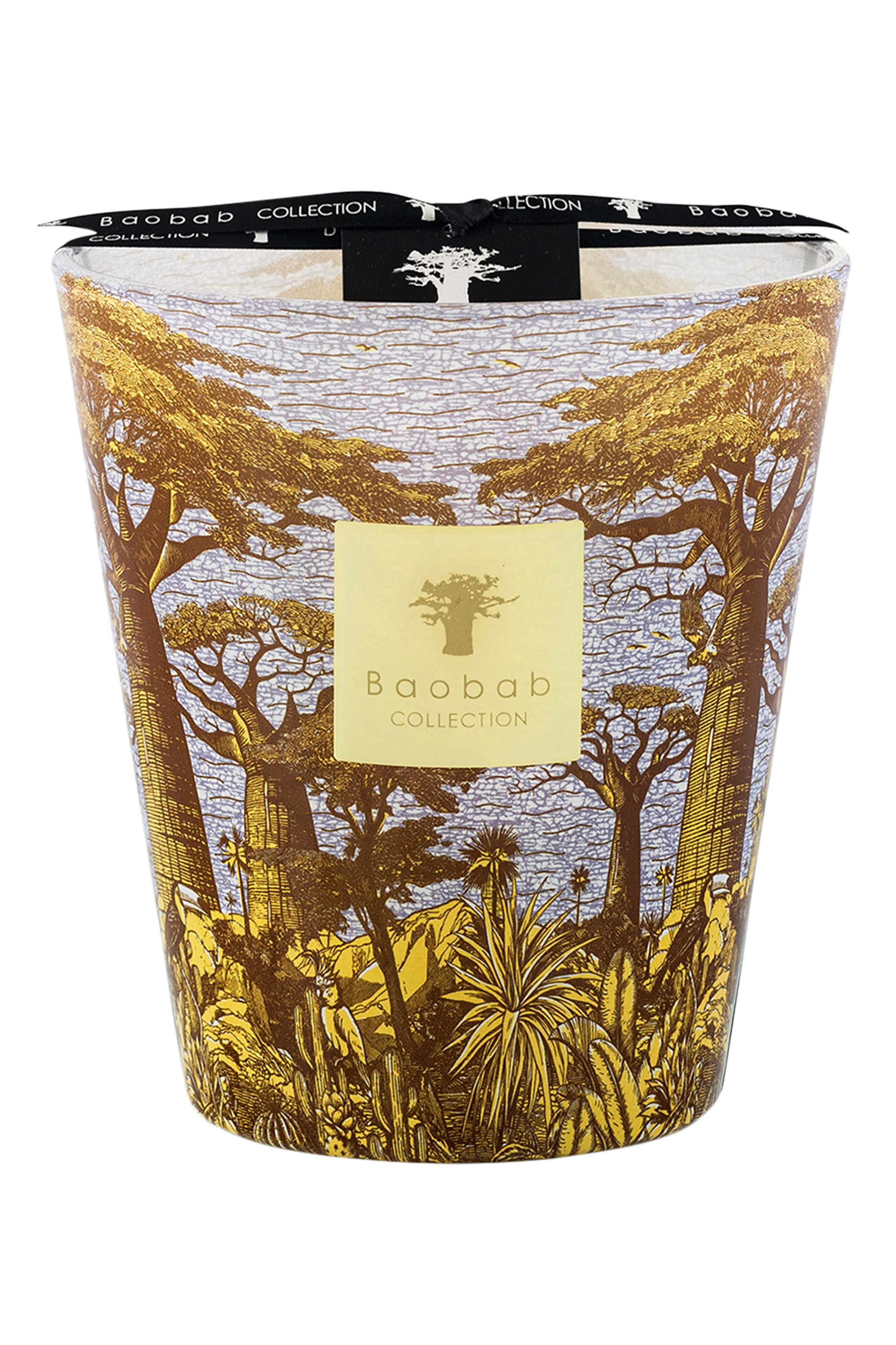 Max 35 Sacred Trees Cocody Candle