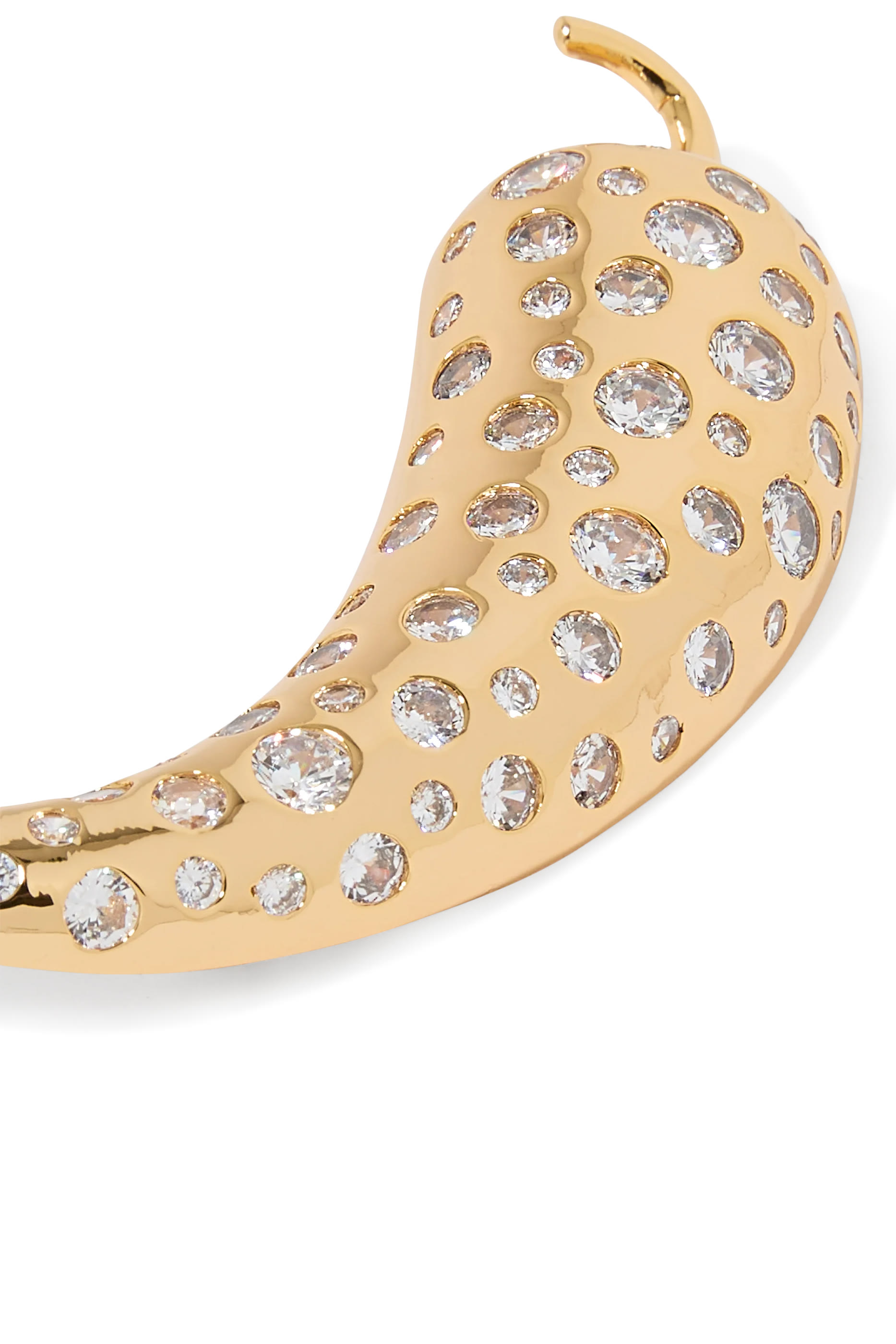 Hot Pepper Design Brooch