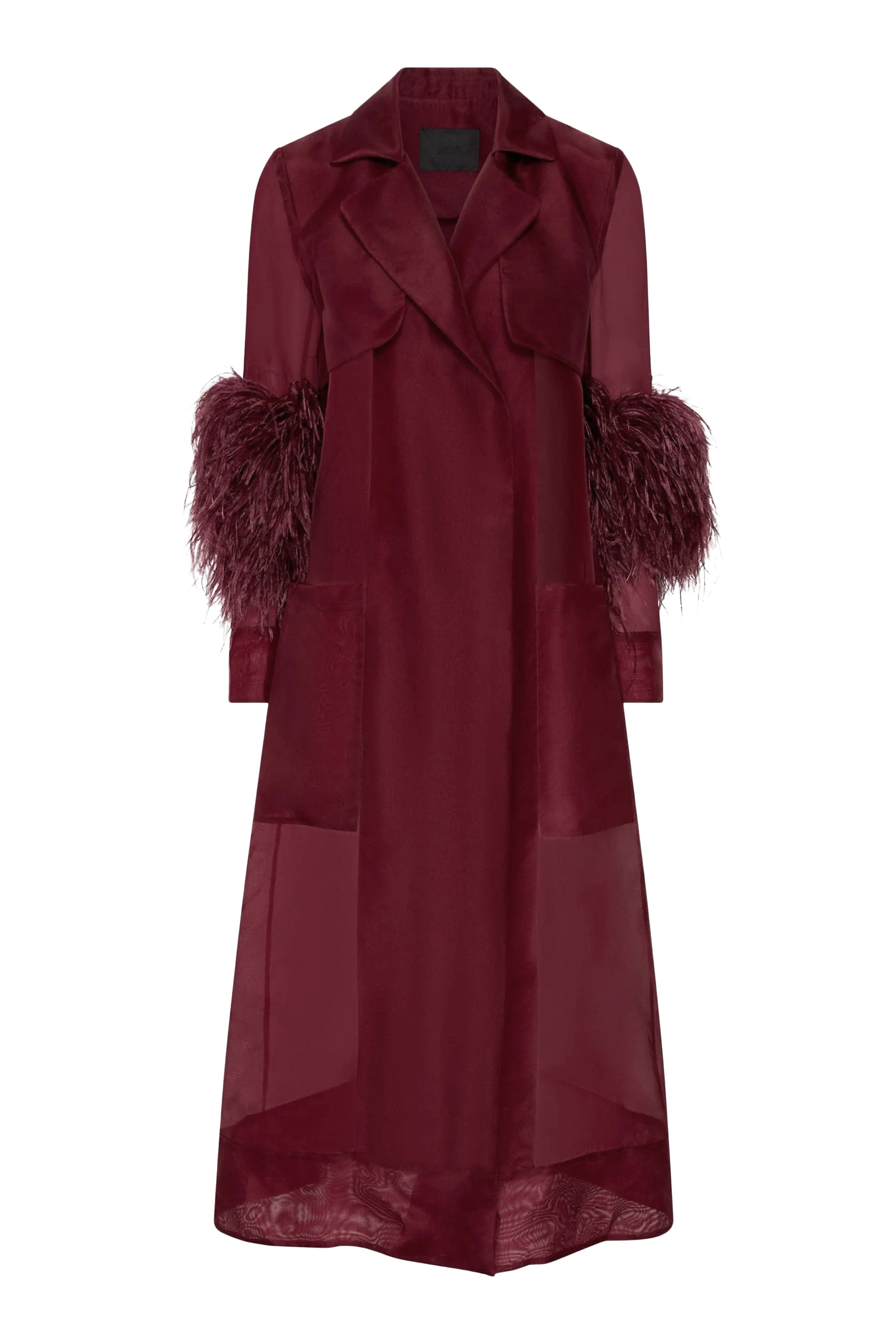 Organza Sheer Duster With Feathers 