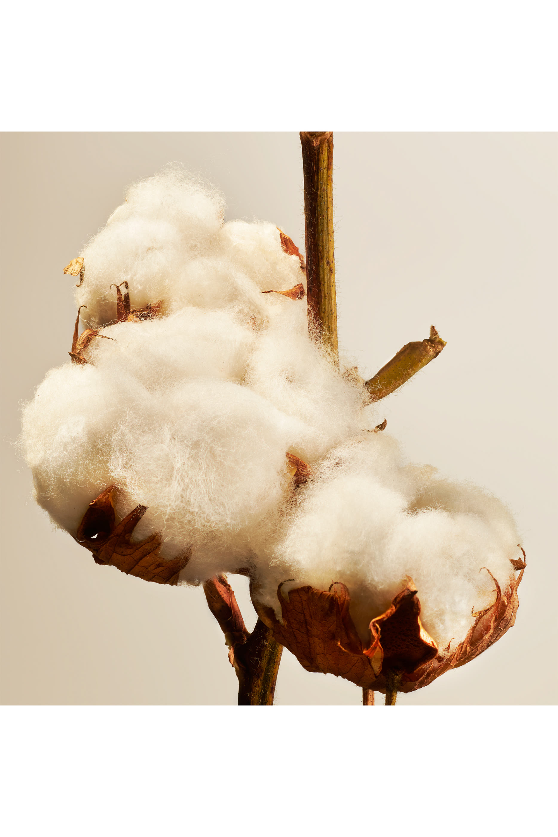 Cotton Blossom Scented Candle