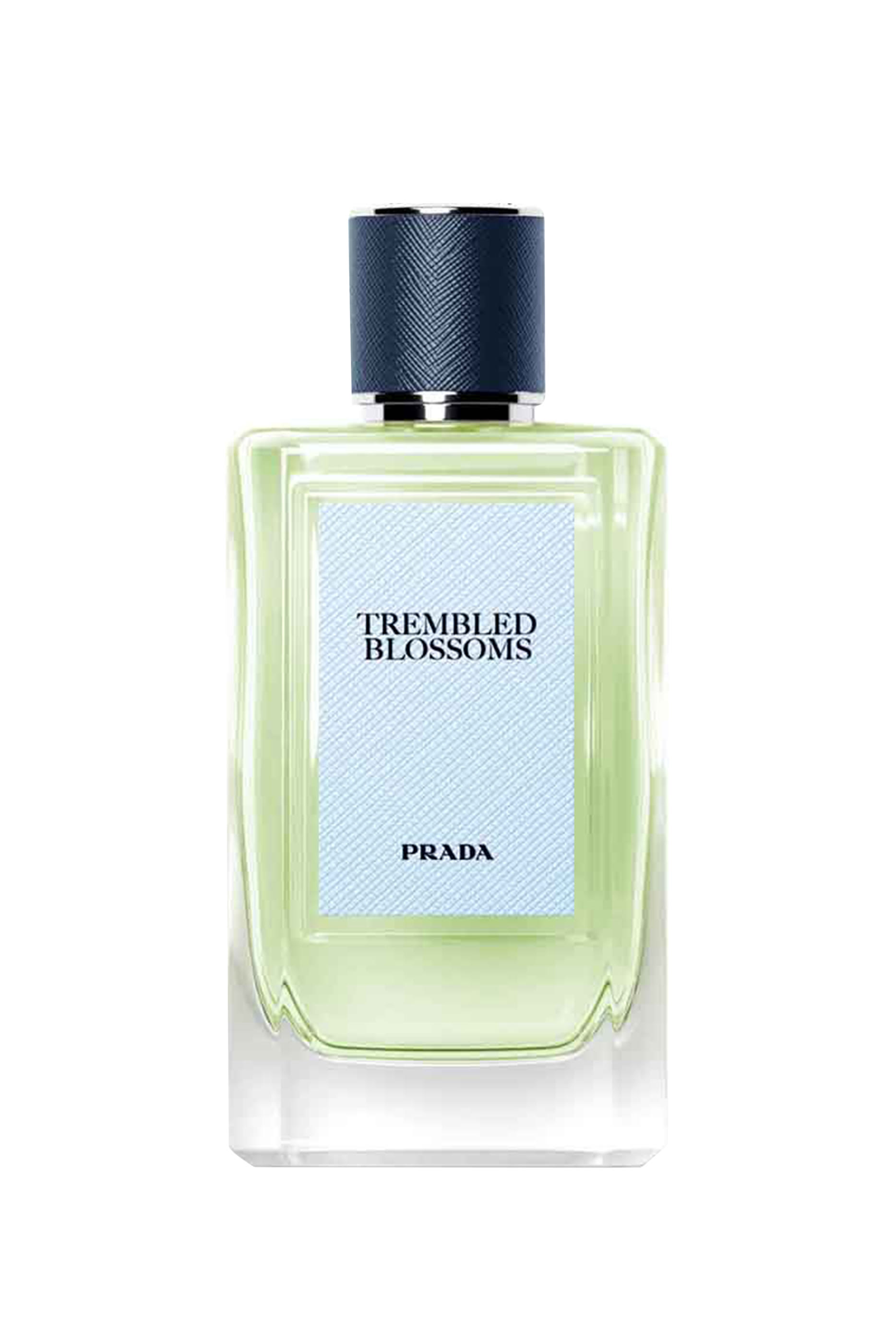 Olfactories Trembled Blossoms Eau de Parfum
