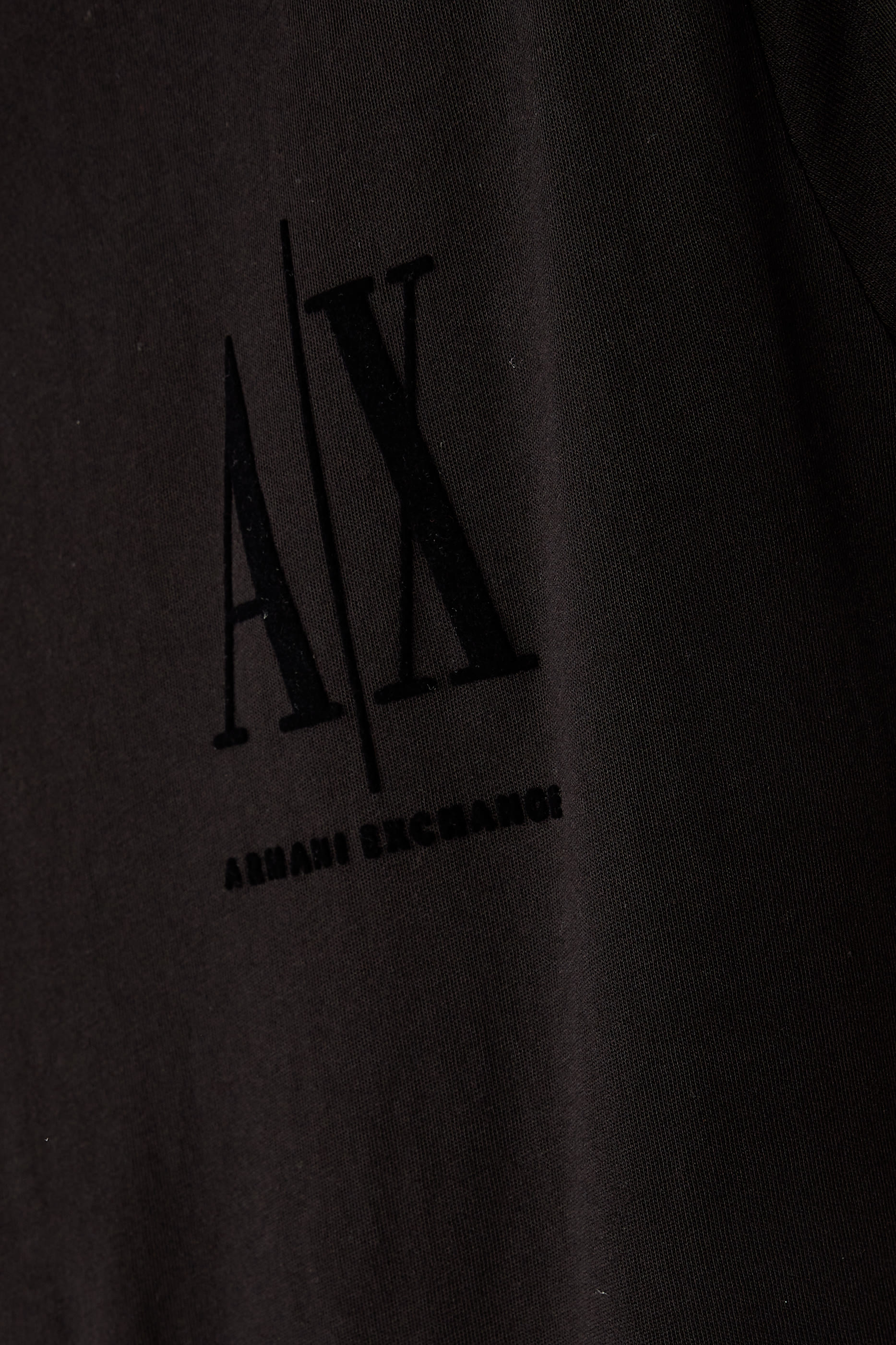 Icon Velvet Logo T-shirt