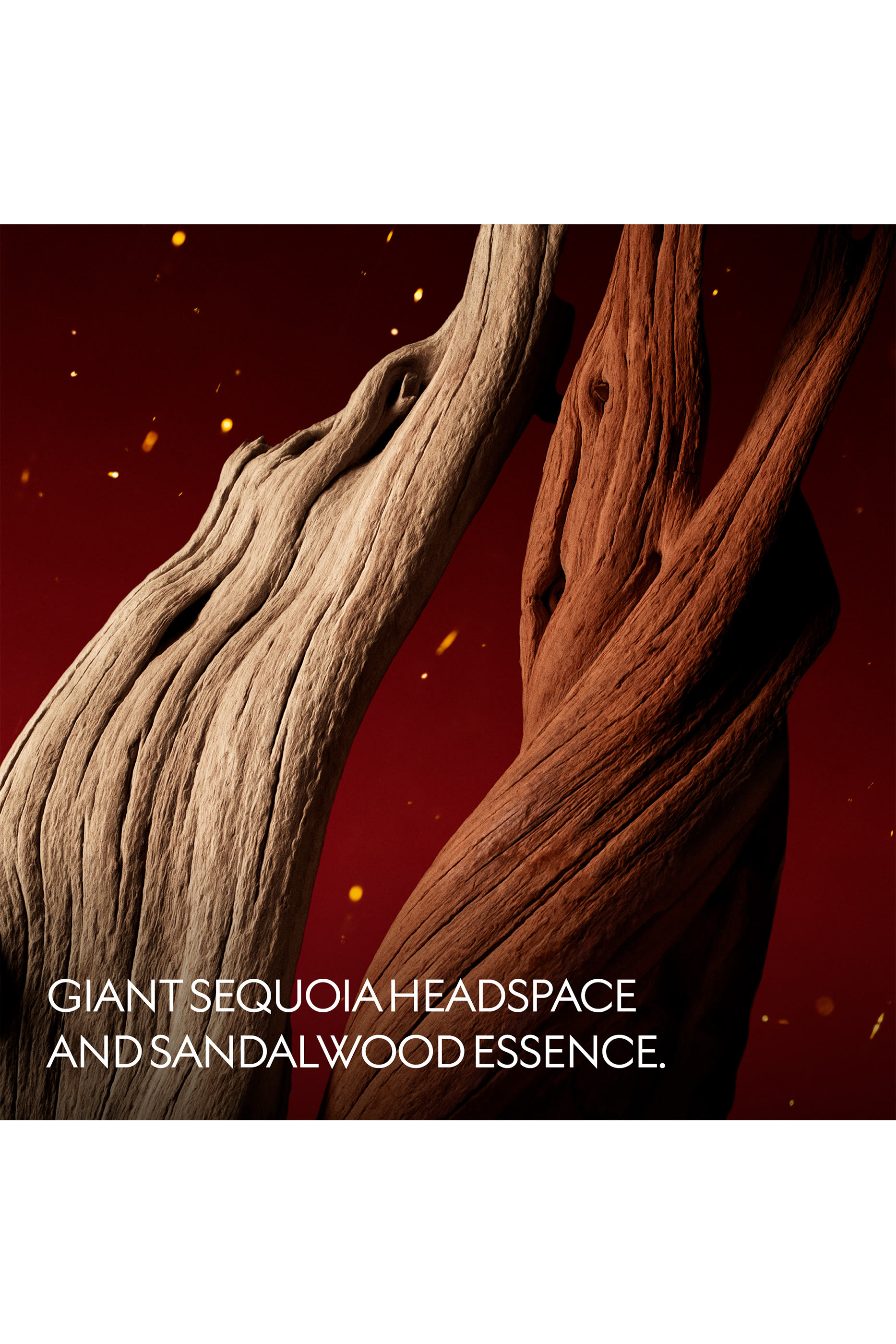 The Alchemist's Garden Lignum Idealis Eau de Parfum