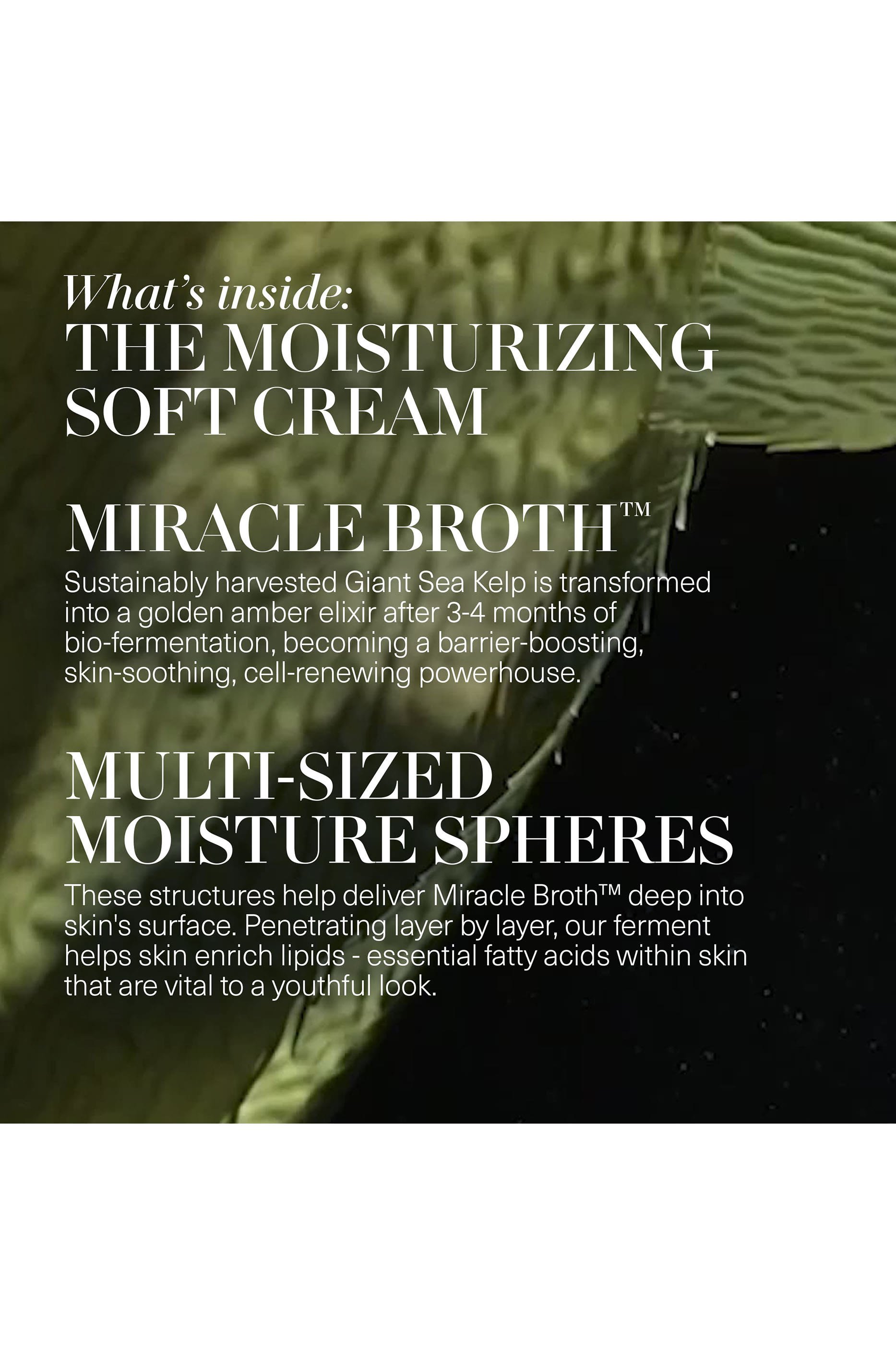 The Moisturizing Soft Cream Duet