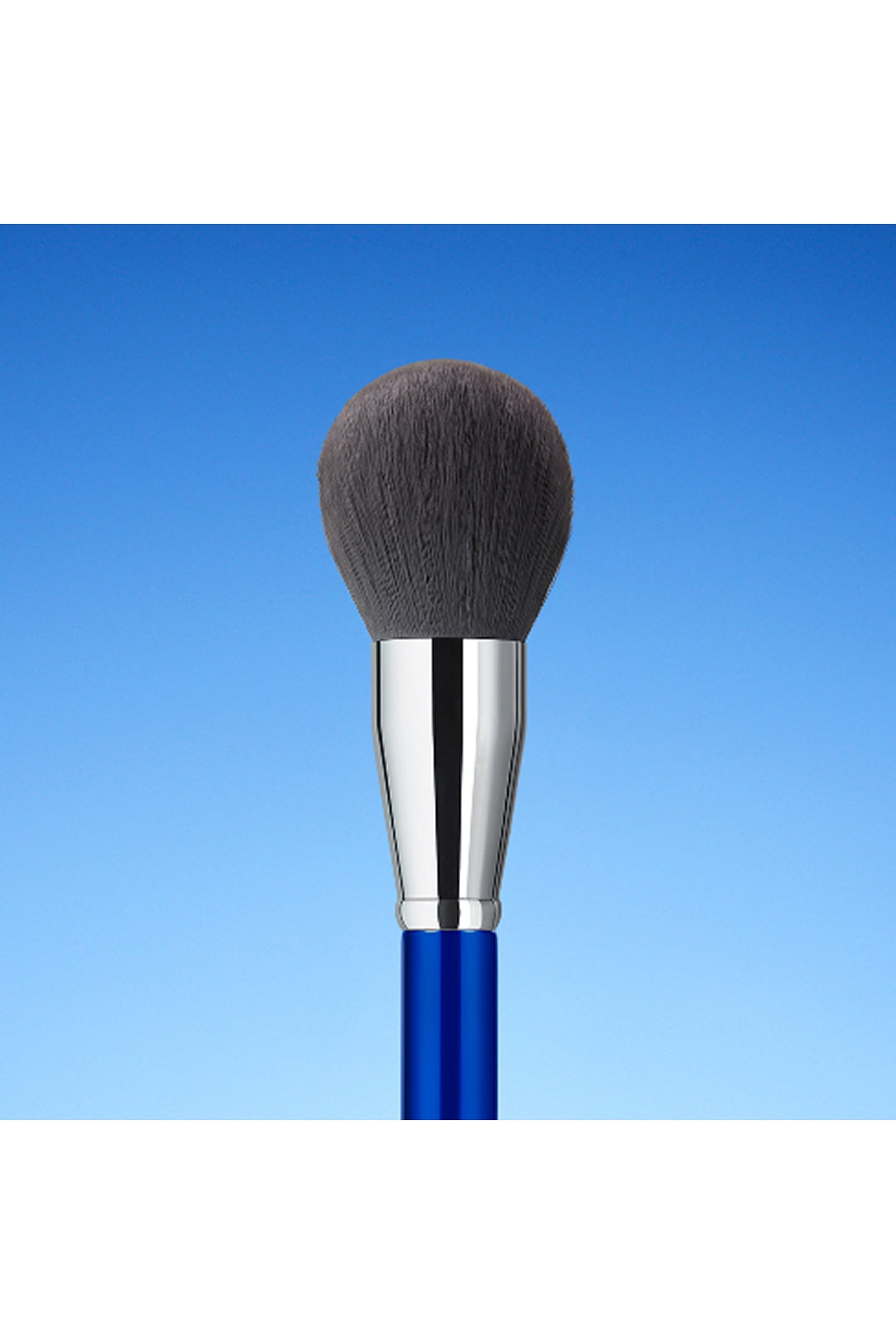 Loose Powder Brush