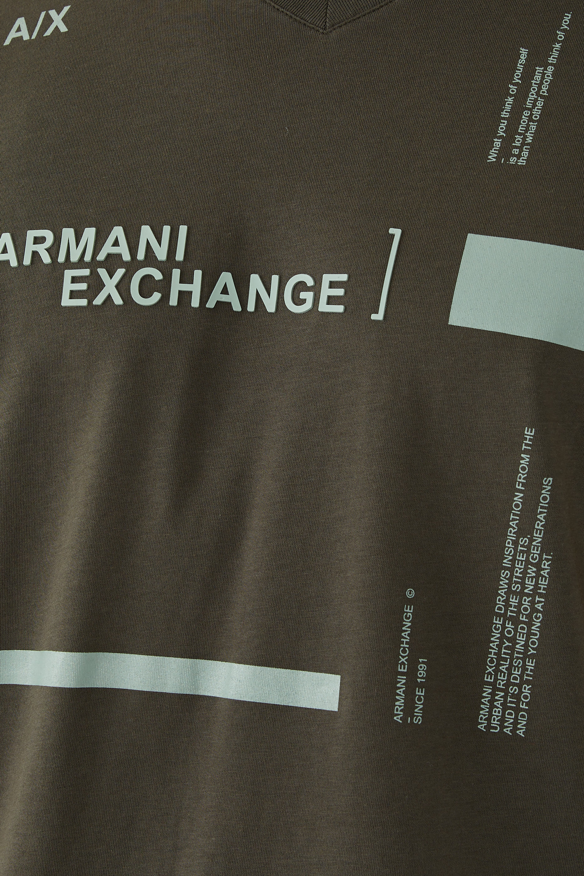 Slim Fit V-Neck T-Shirt