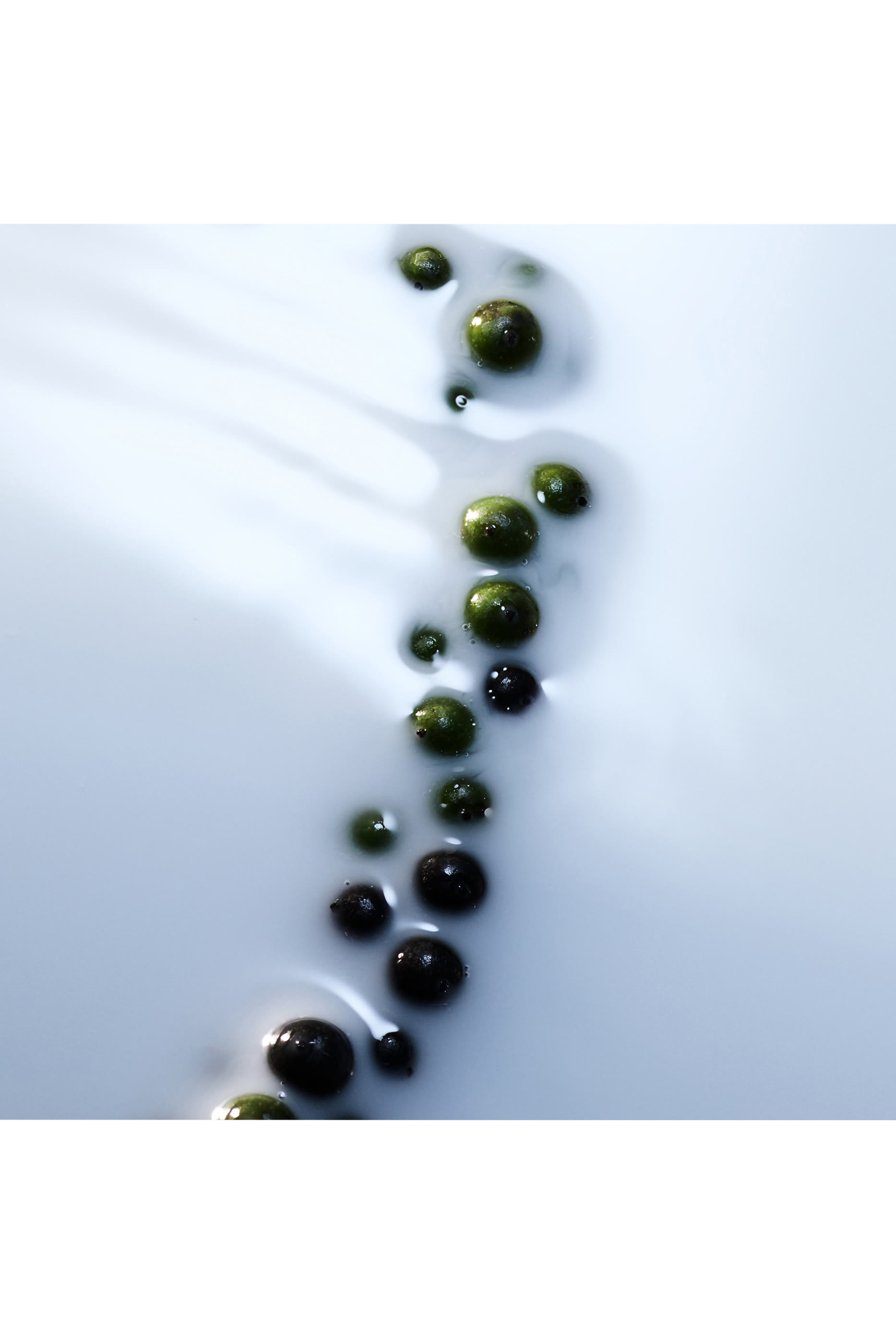 Blanche Absolu de Parfum