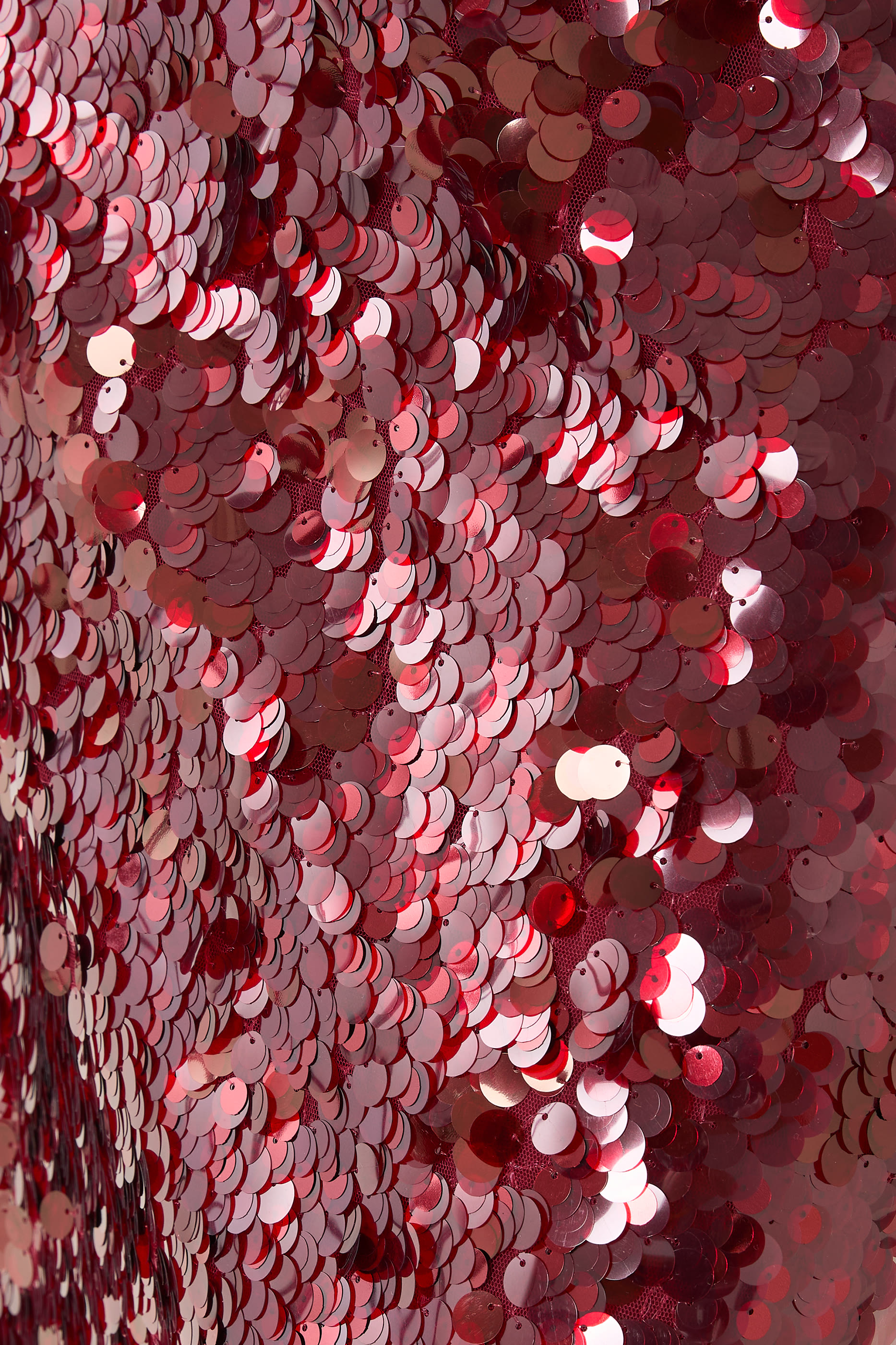 Paillette Bias Skirt