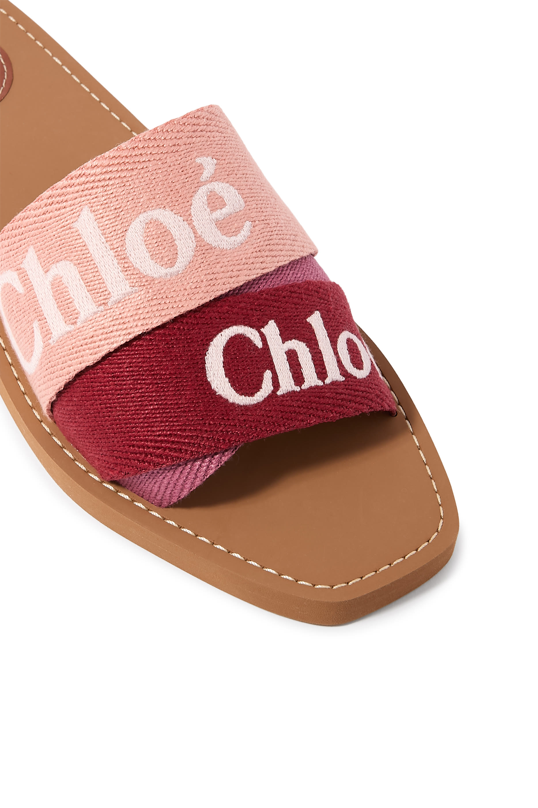 Woody Logo Canvas Slides