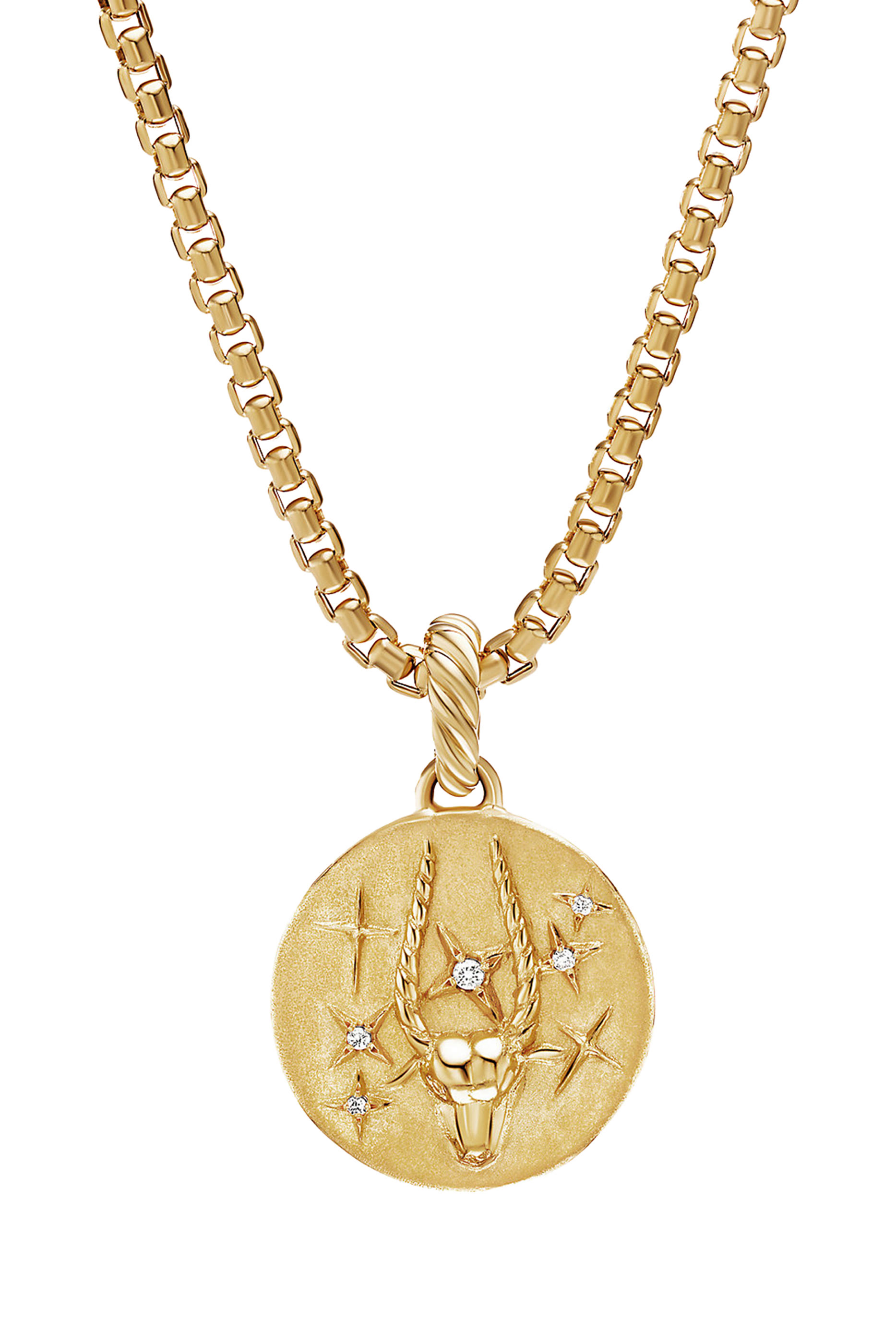 Capricorn Zodiac Amulet