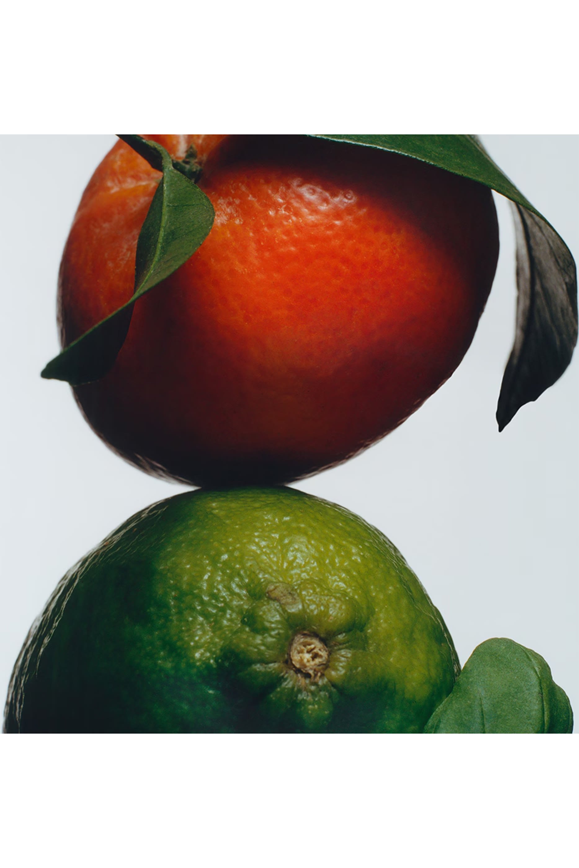 Lime Basil and Mandarin Scent Surround™ Diffuser