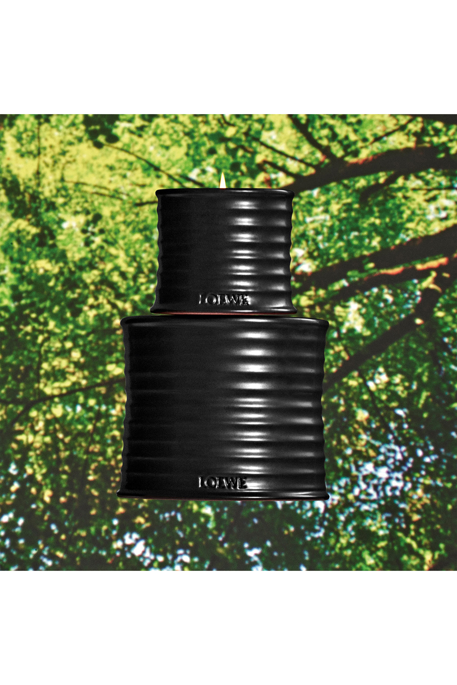 Medium Palo Santo Candle