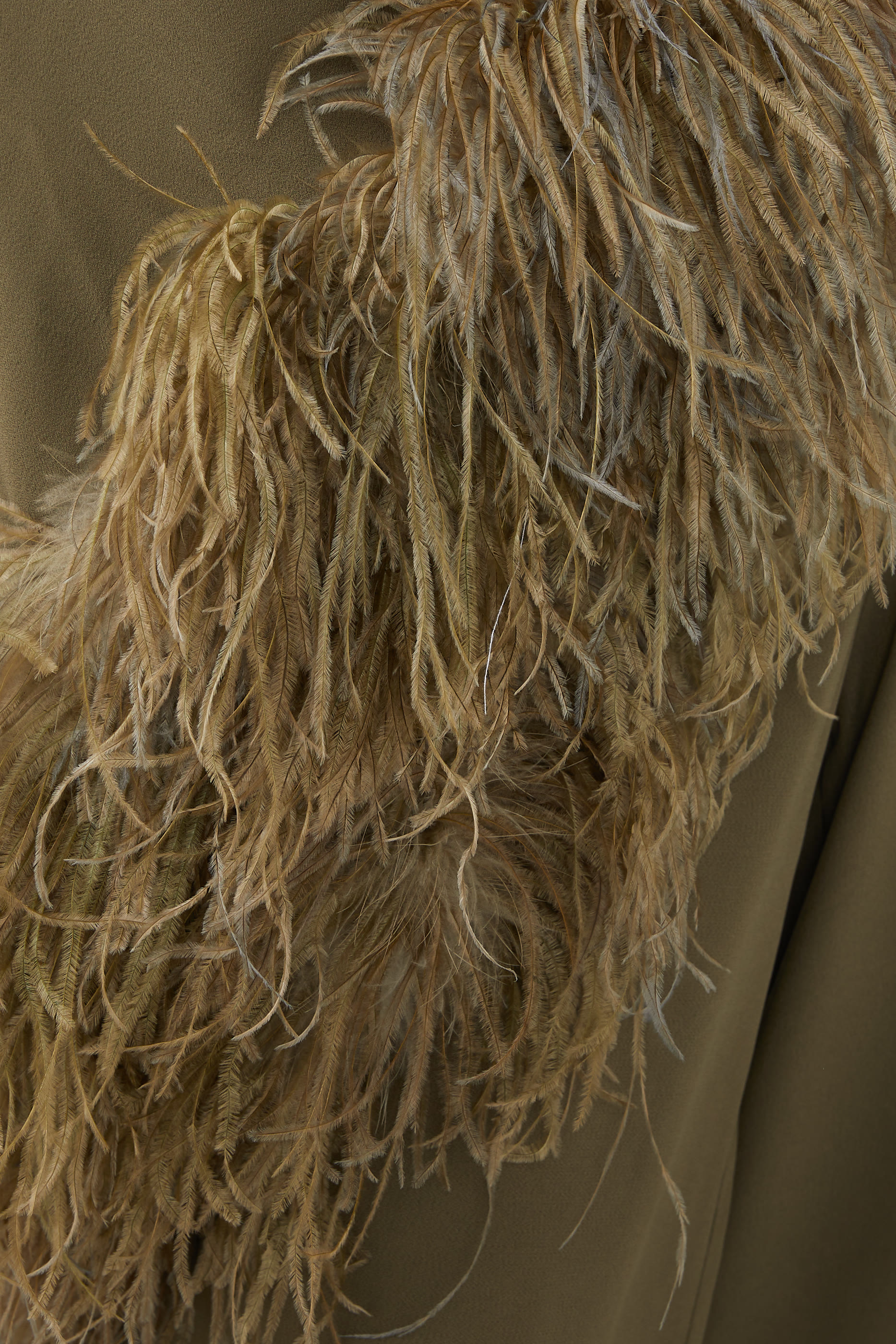 Feathered Ebro Jumpsuit