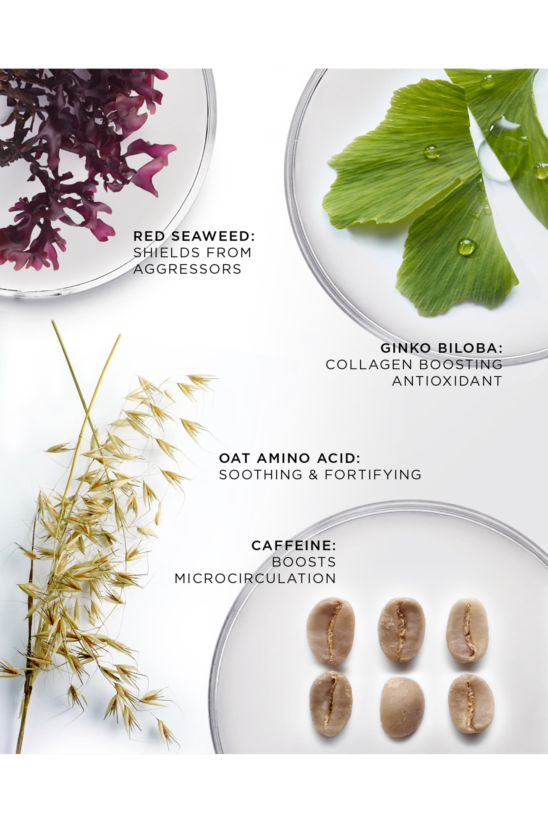 The Brilliant Vibrant Eye Infusion Refill