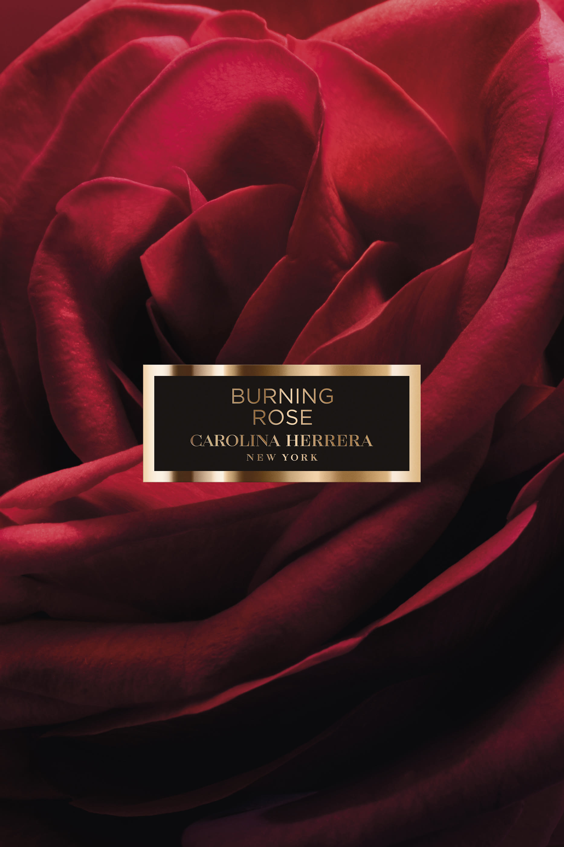 Herrera Confidential Burning Rose Eau de Parfum