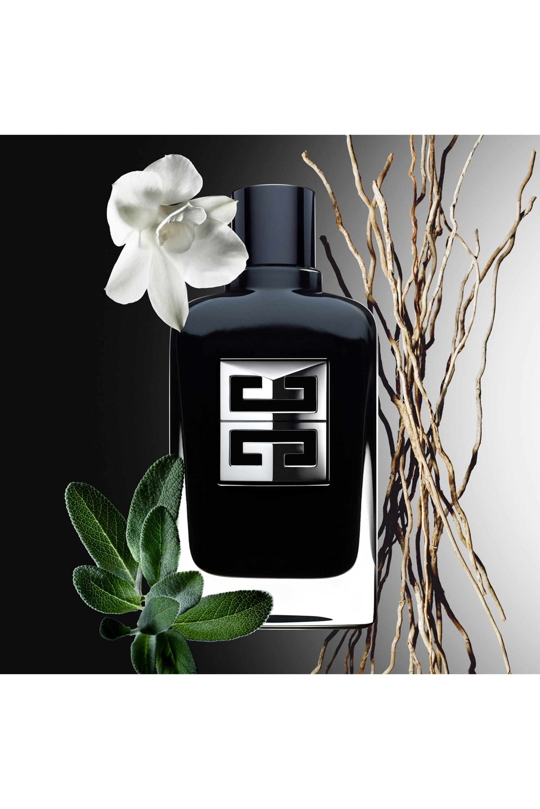 Gentleman Society Eau de Parfum