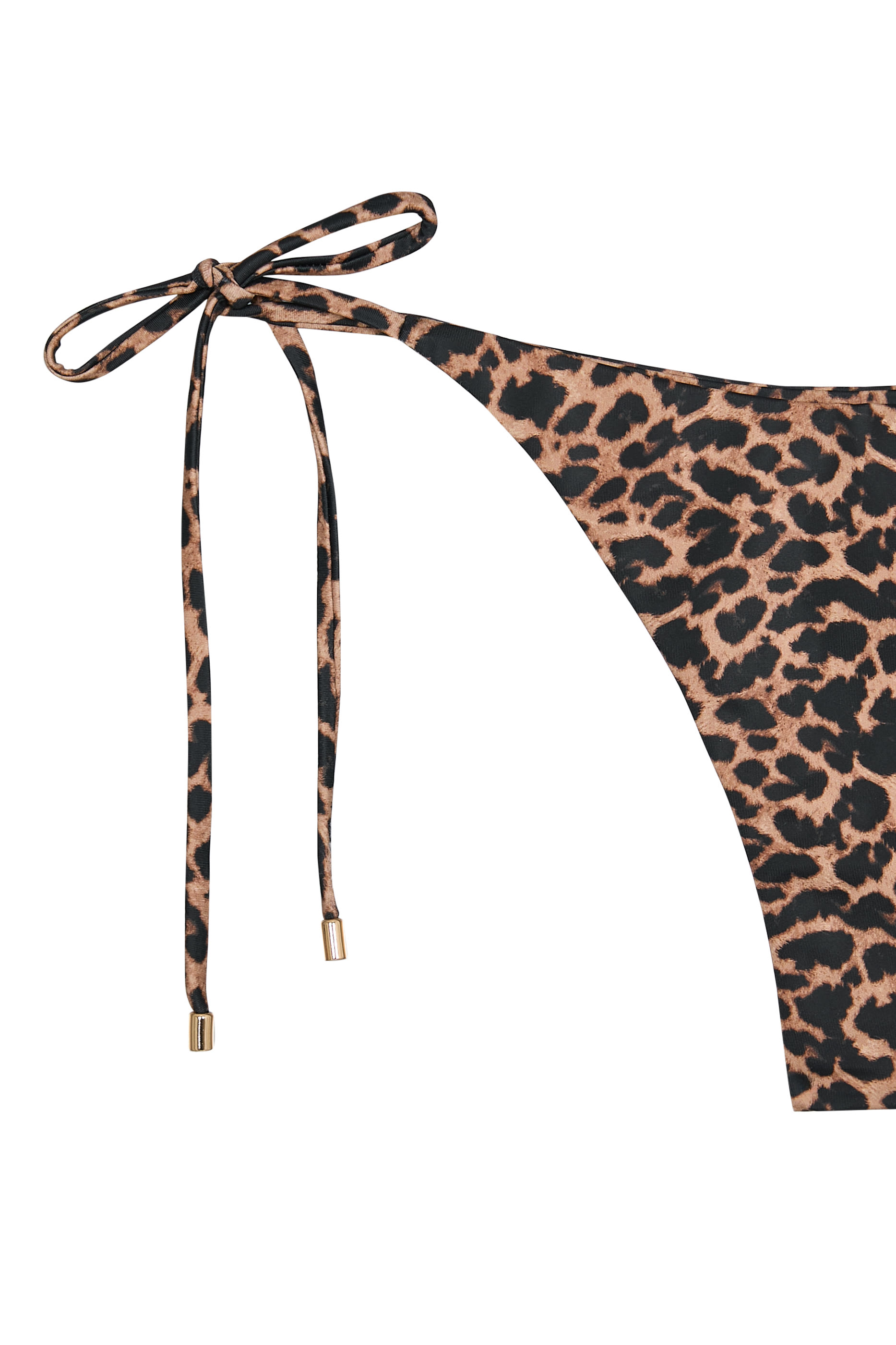 Catania Bikini Bottom