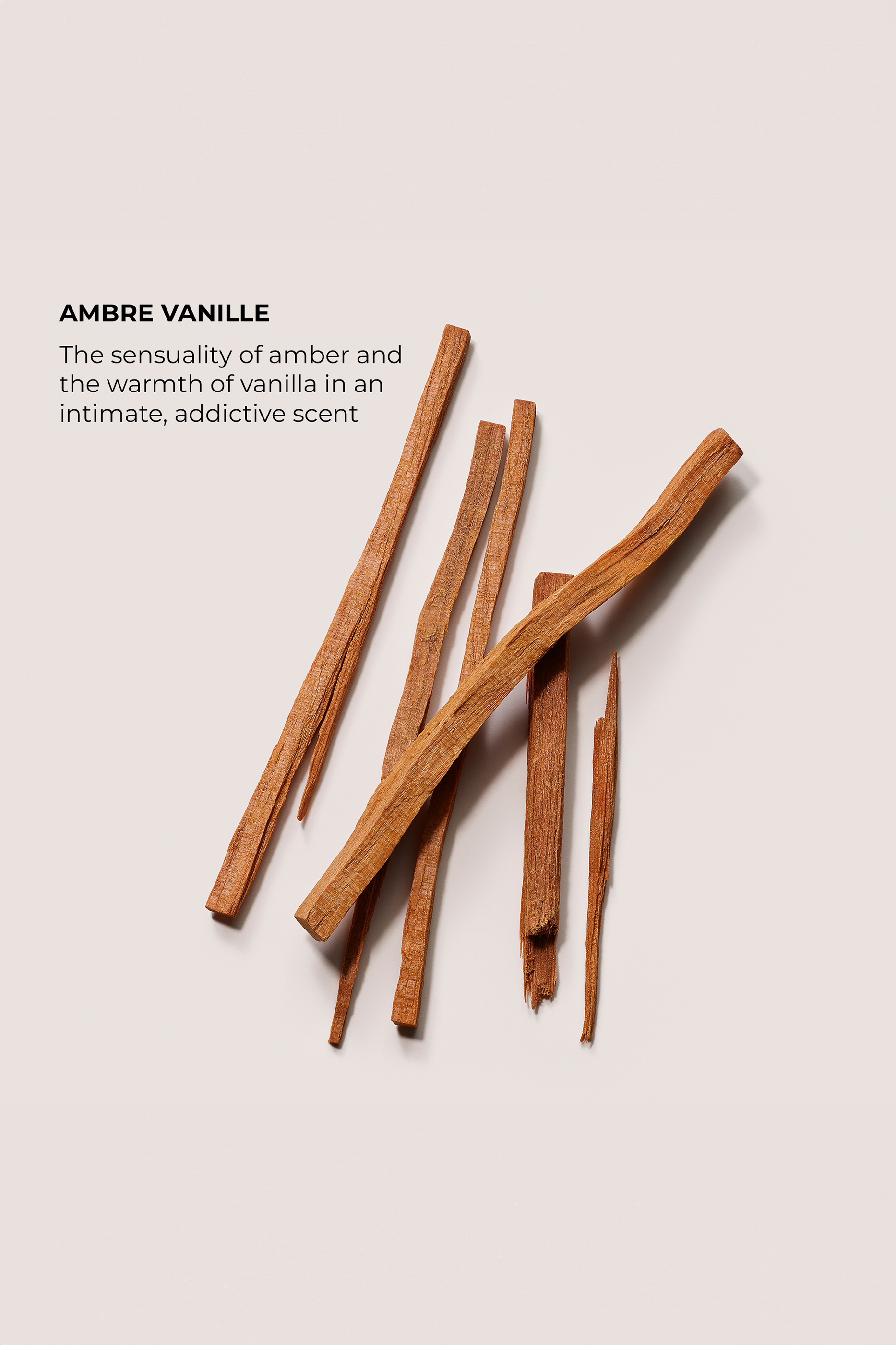 The Daydreamer's Indulgence Ambre Vanille Collection Set