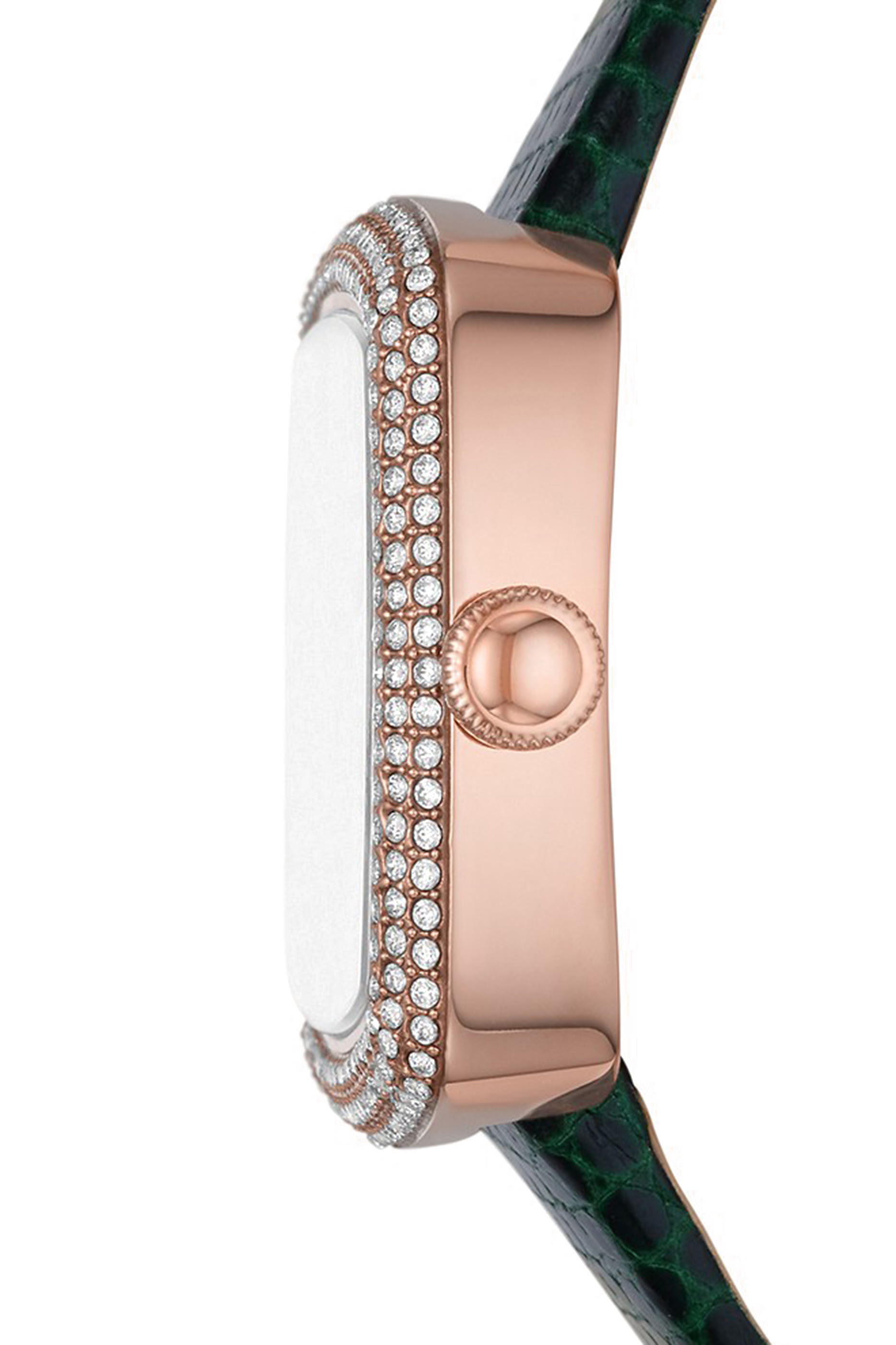 Rosa 26mm Automatic Watch