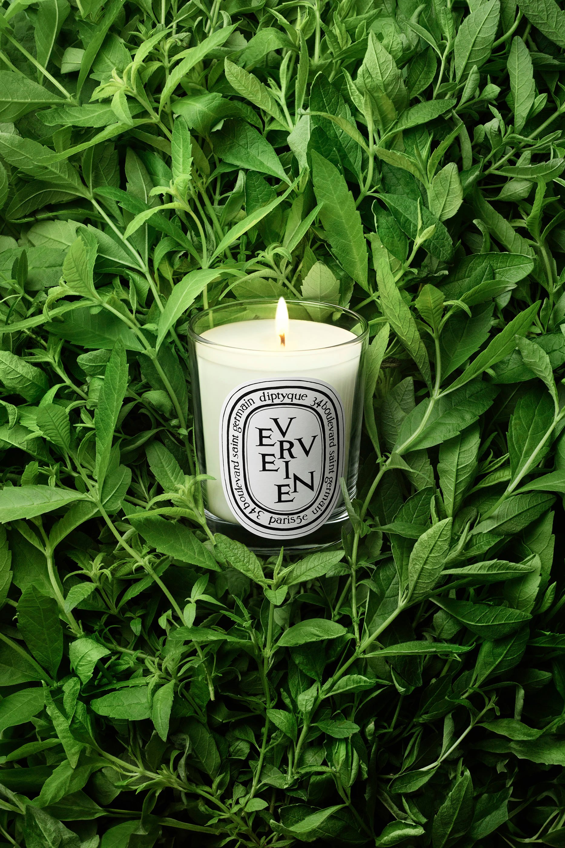 Mini Candle Verveine