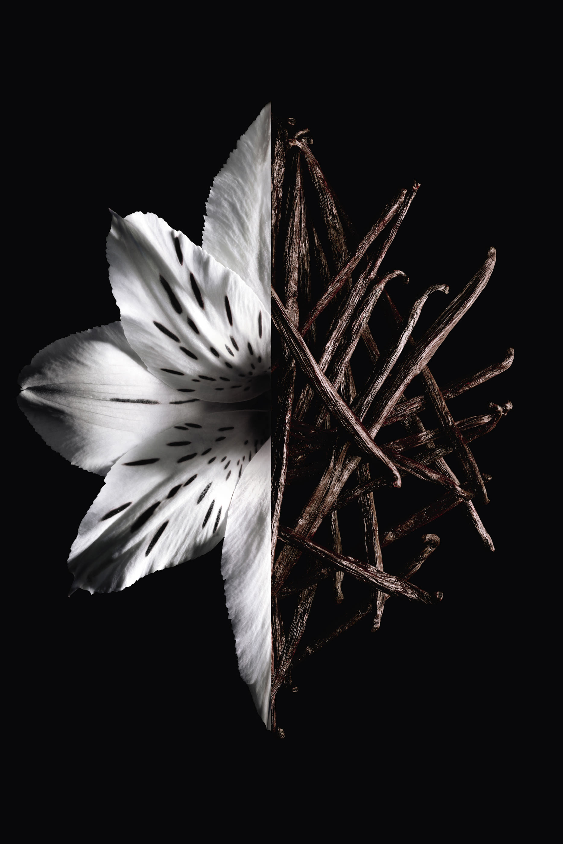 L'Interdit Eau de Parfum Intense