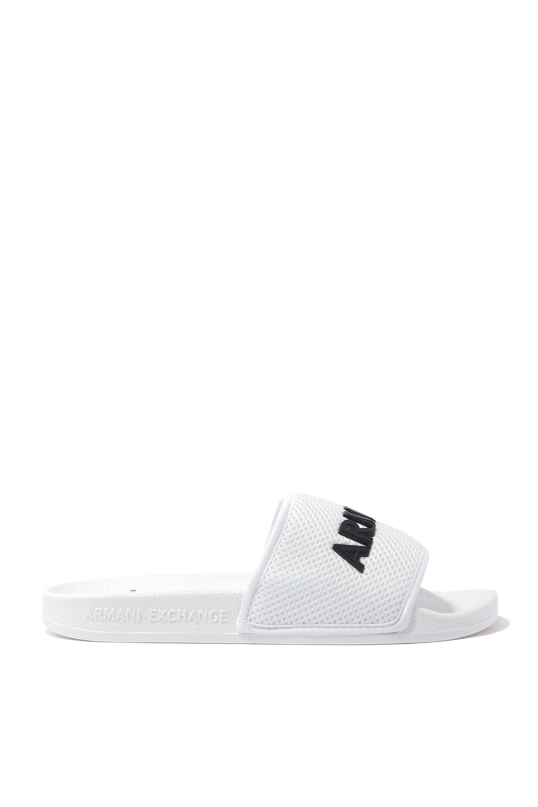 Logo Mesh Slides