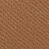 Dark Beige I