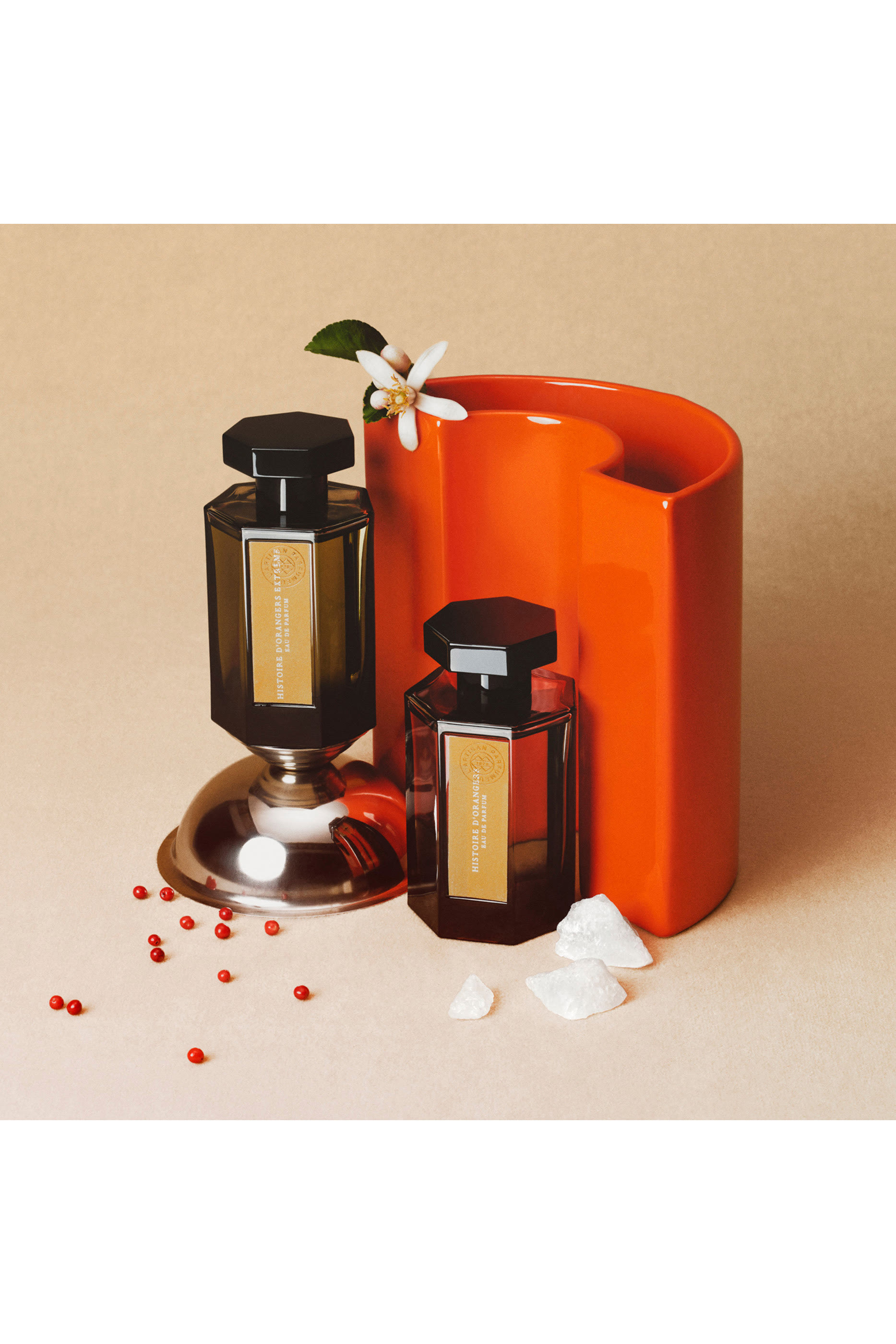 Histoire d'Orangers Extrême