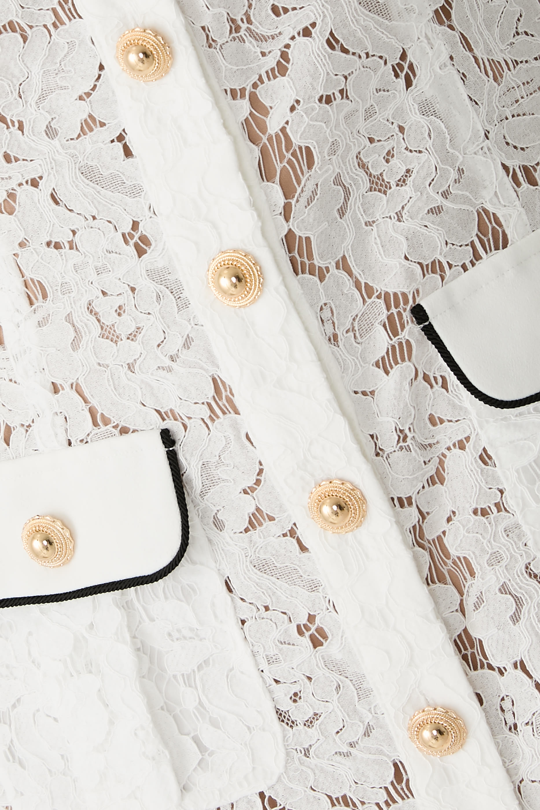 Lace Contrast Collar Mini Dress