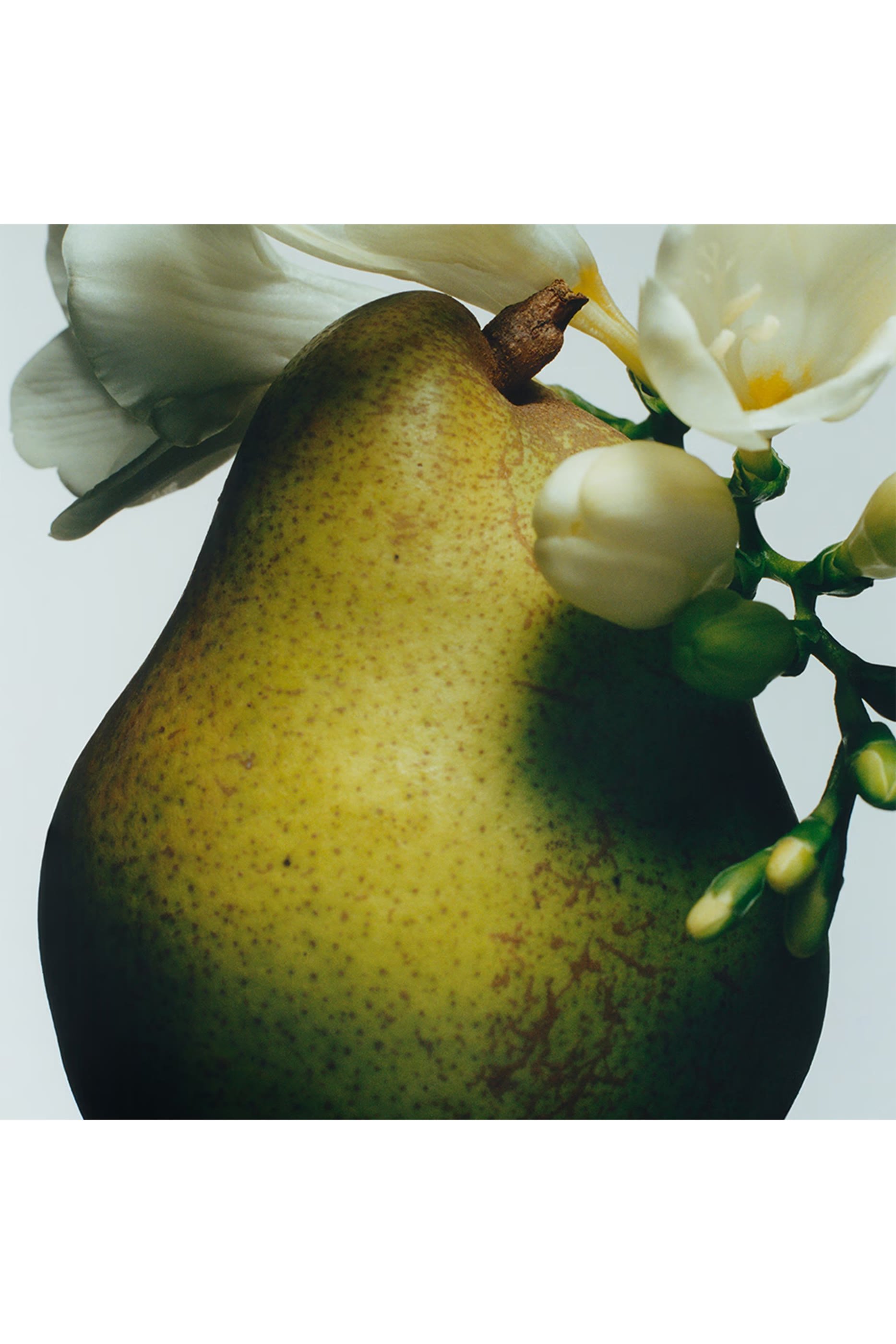 English Pear and Freesia Scent Surround™ Diffuser
