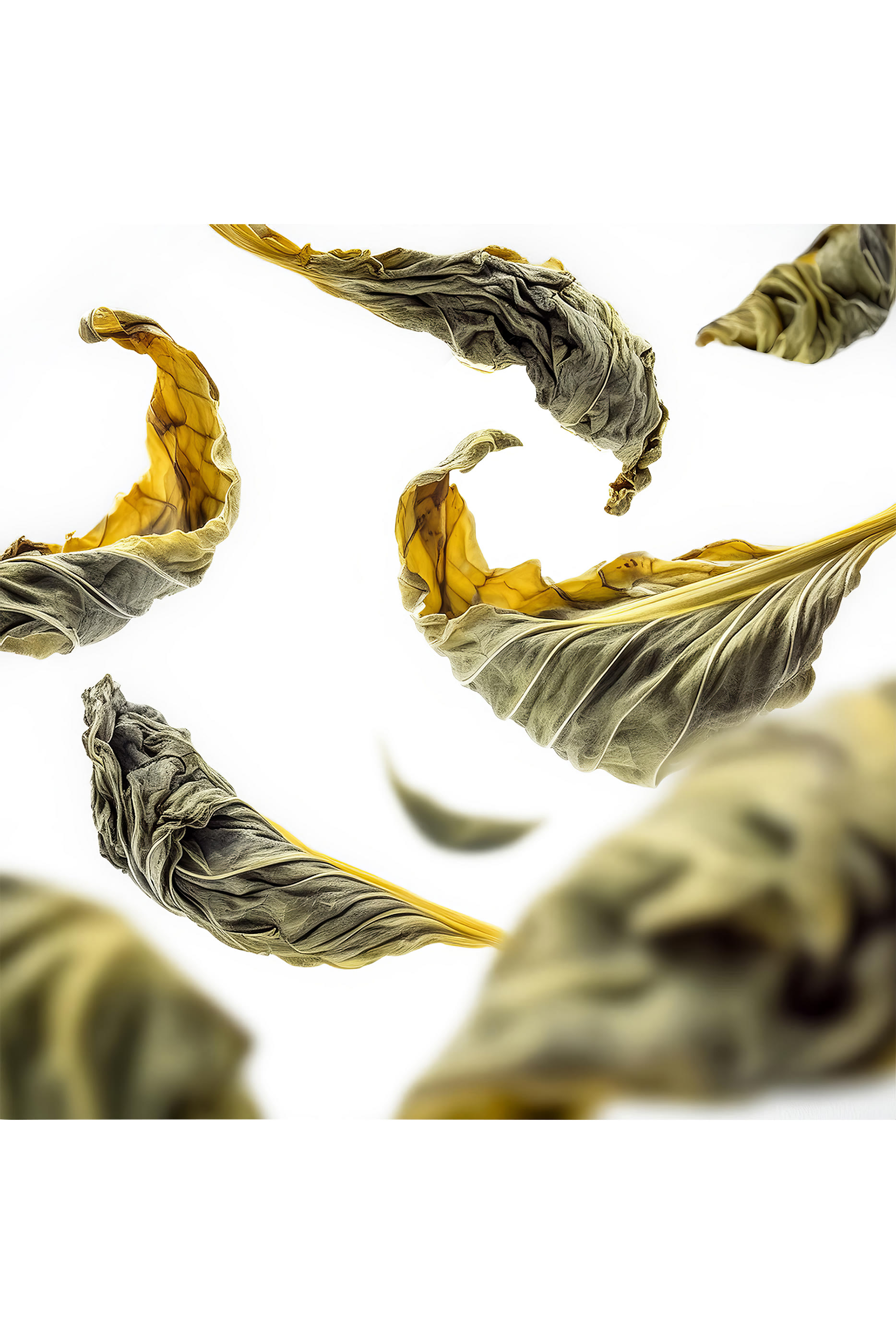 Private Collection Royal Tea Scented Candle