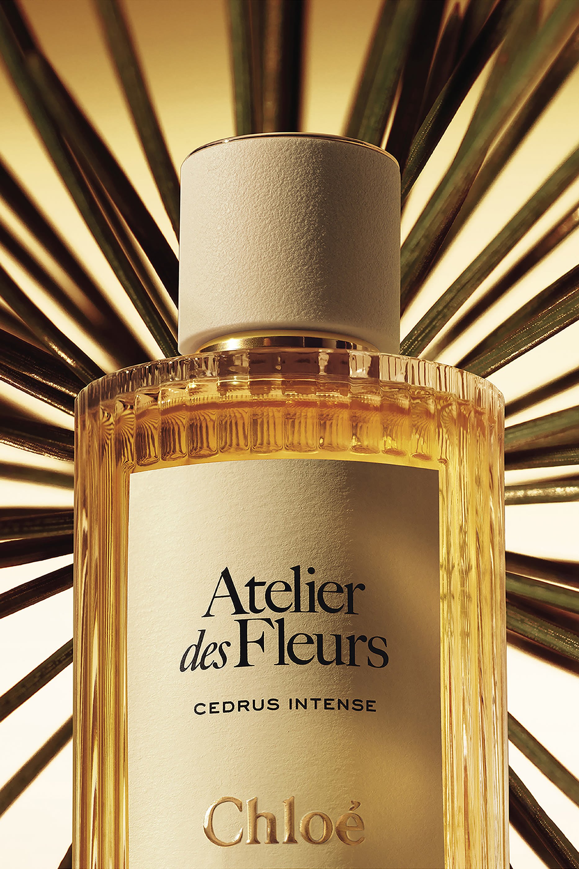 Atelier des Fleurs Cedrus Intense Eau de Parfum
