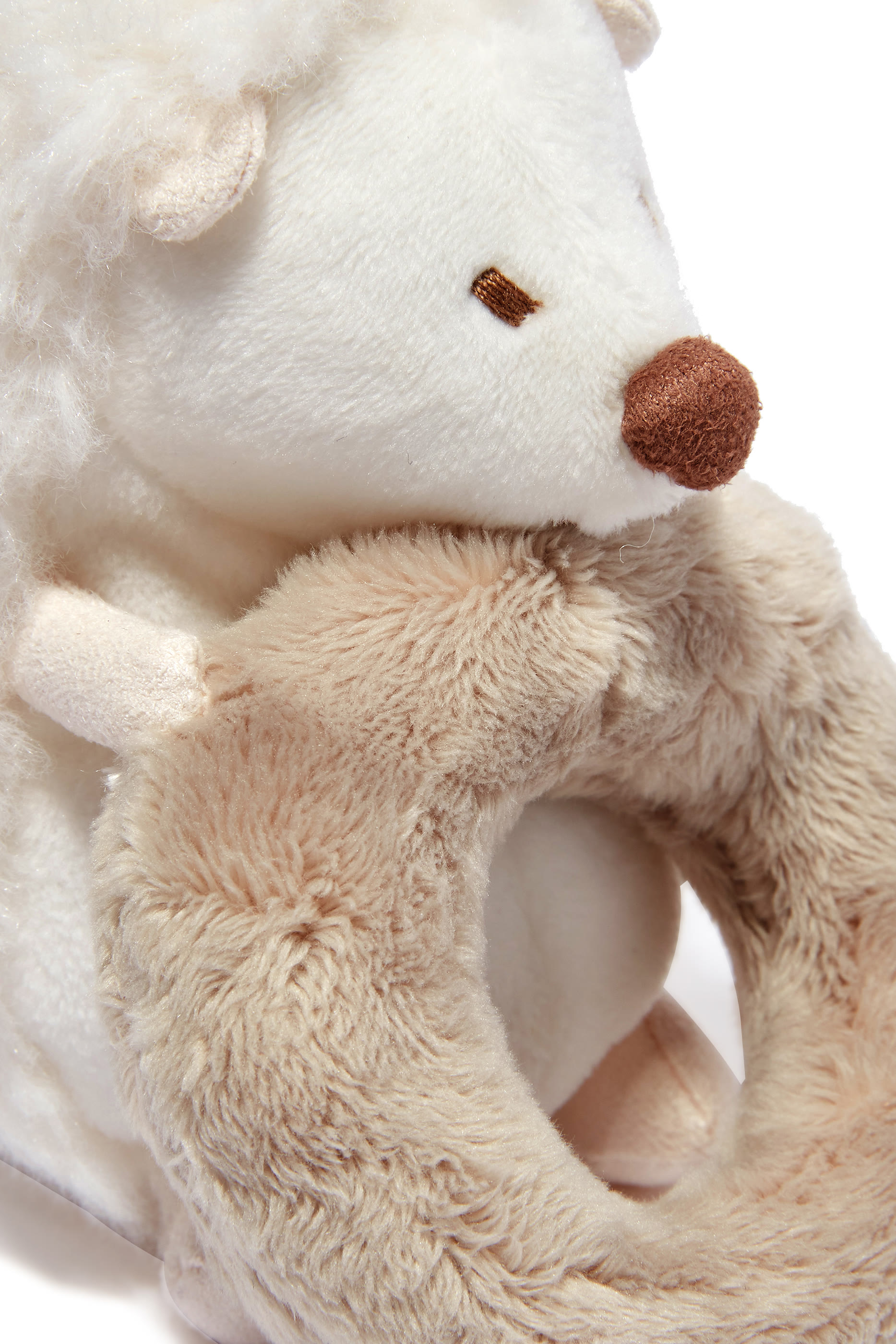 L&eacute;on The Hedgehog Rattle