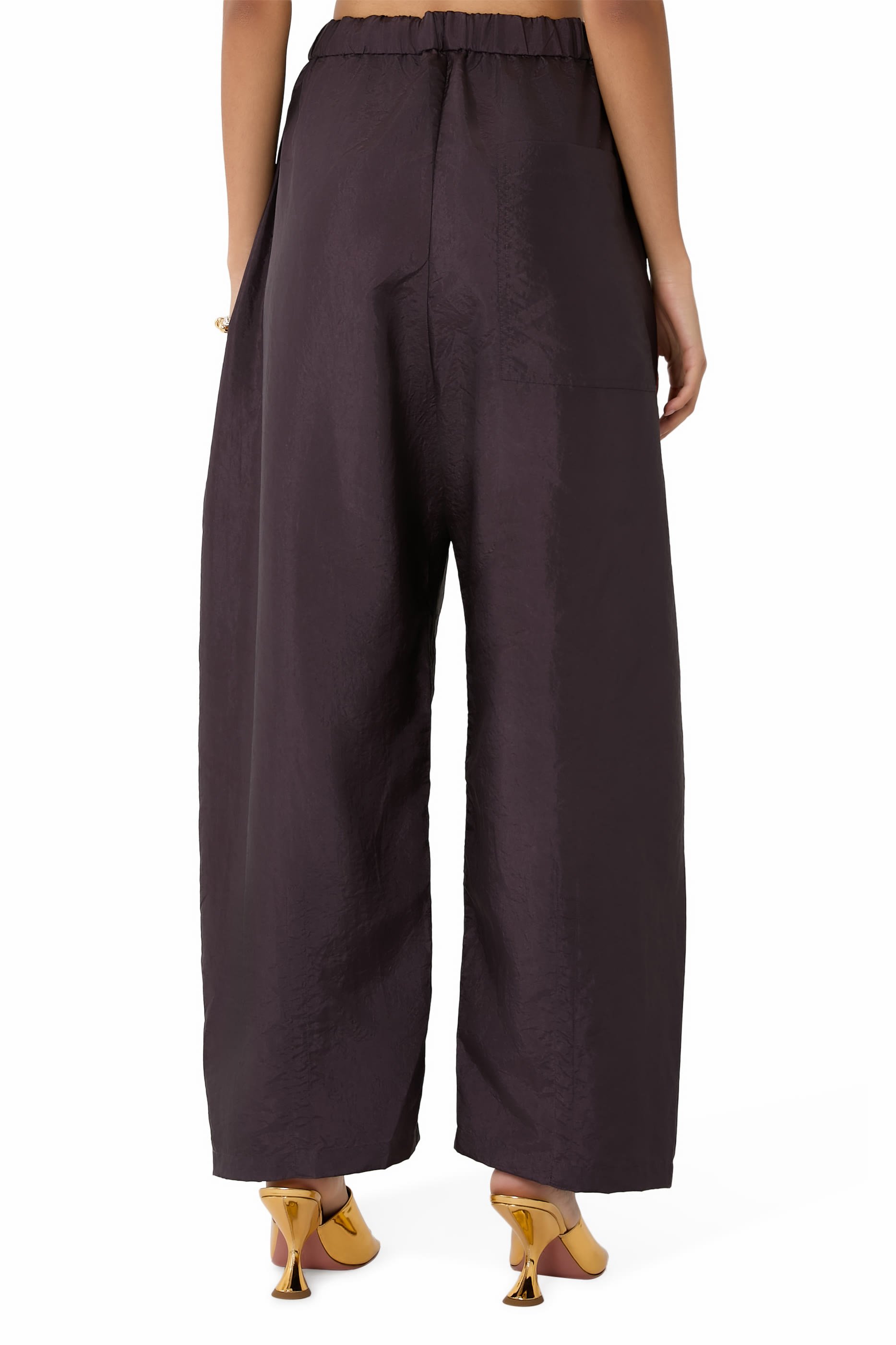 Crispy Nylon Winslow Pants