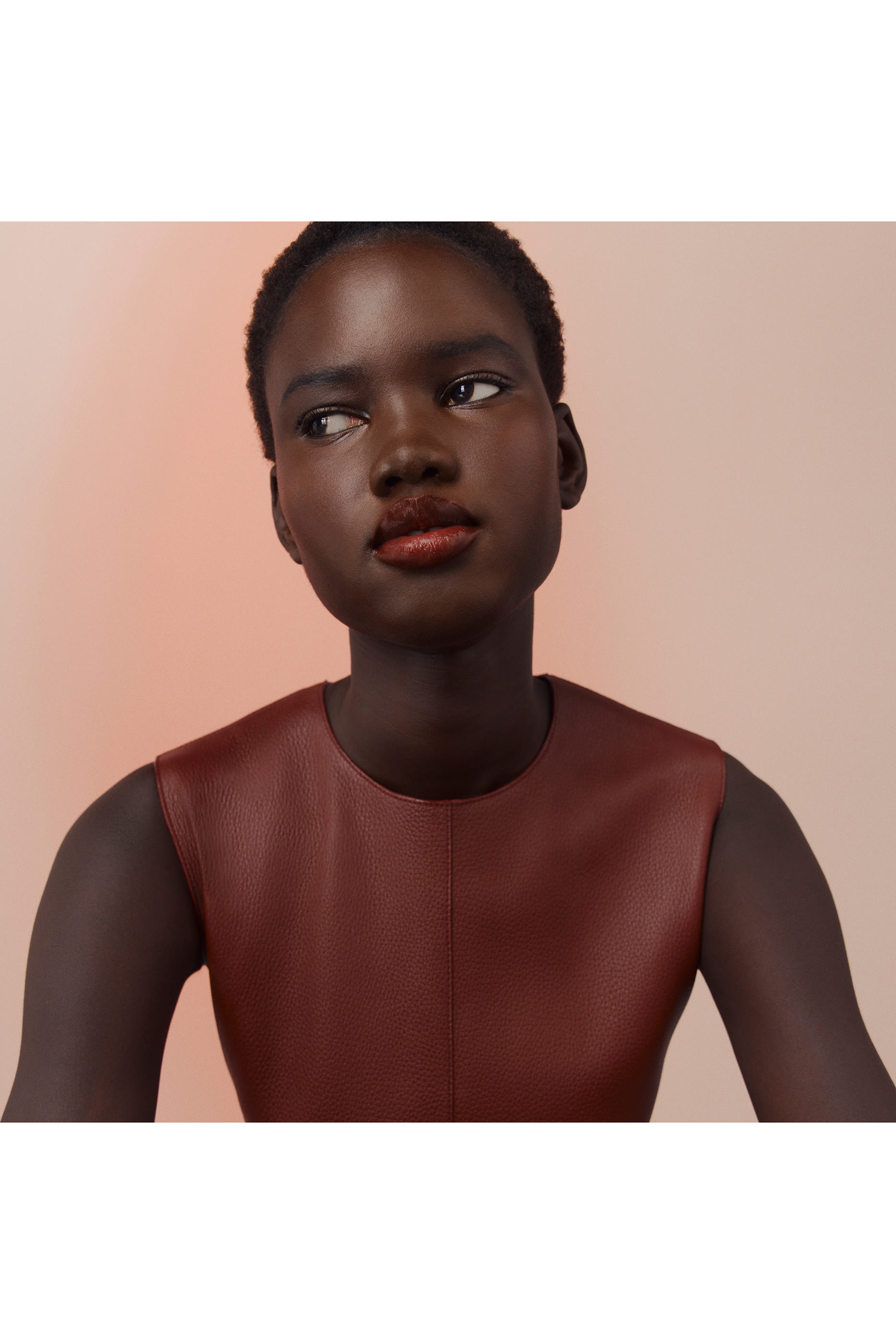 Herm&egrave;sistible, Infused Care Oil, Rose Nashi