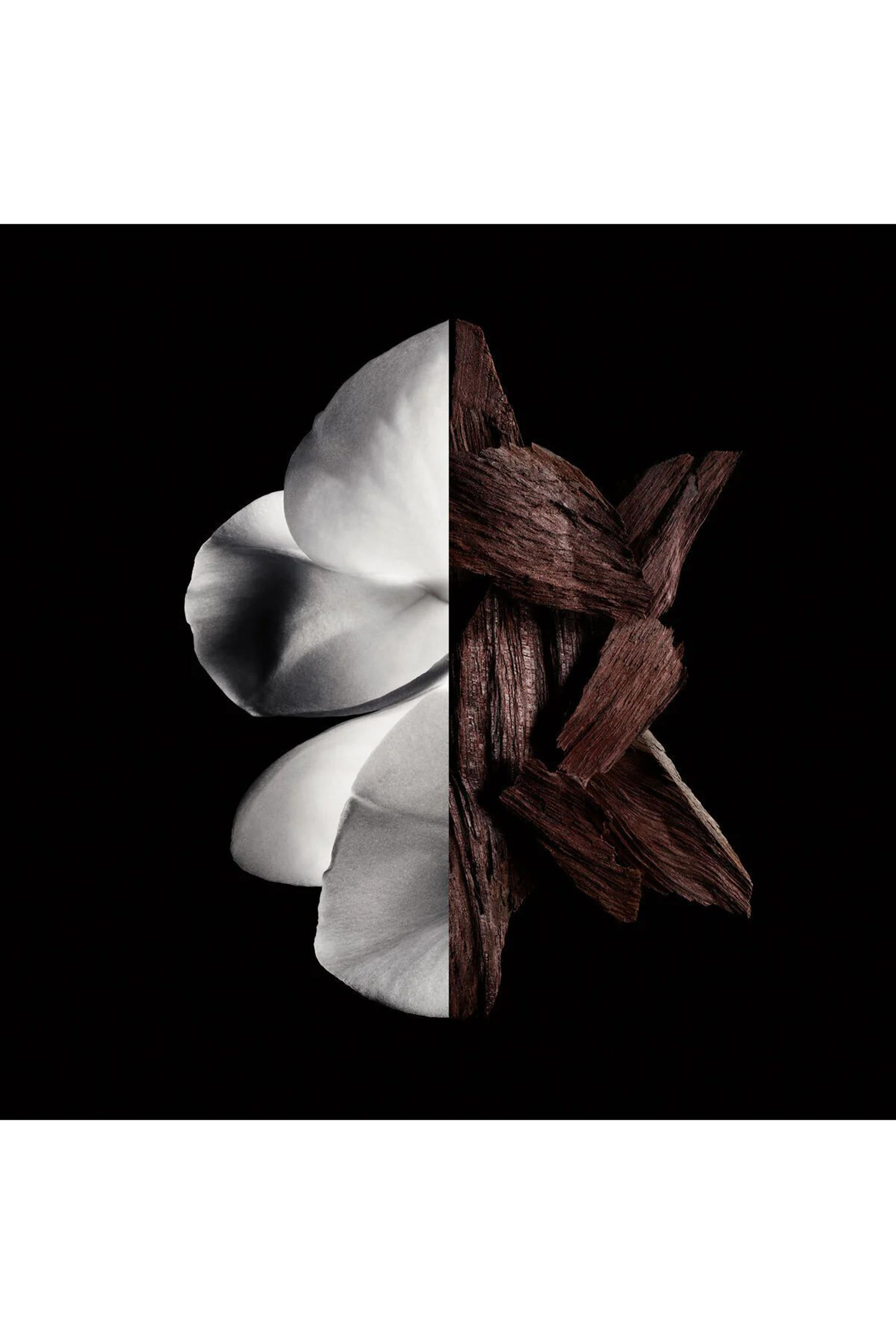 Gentleman Bois&eacute;e Eau de Parfum