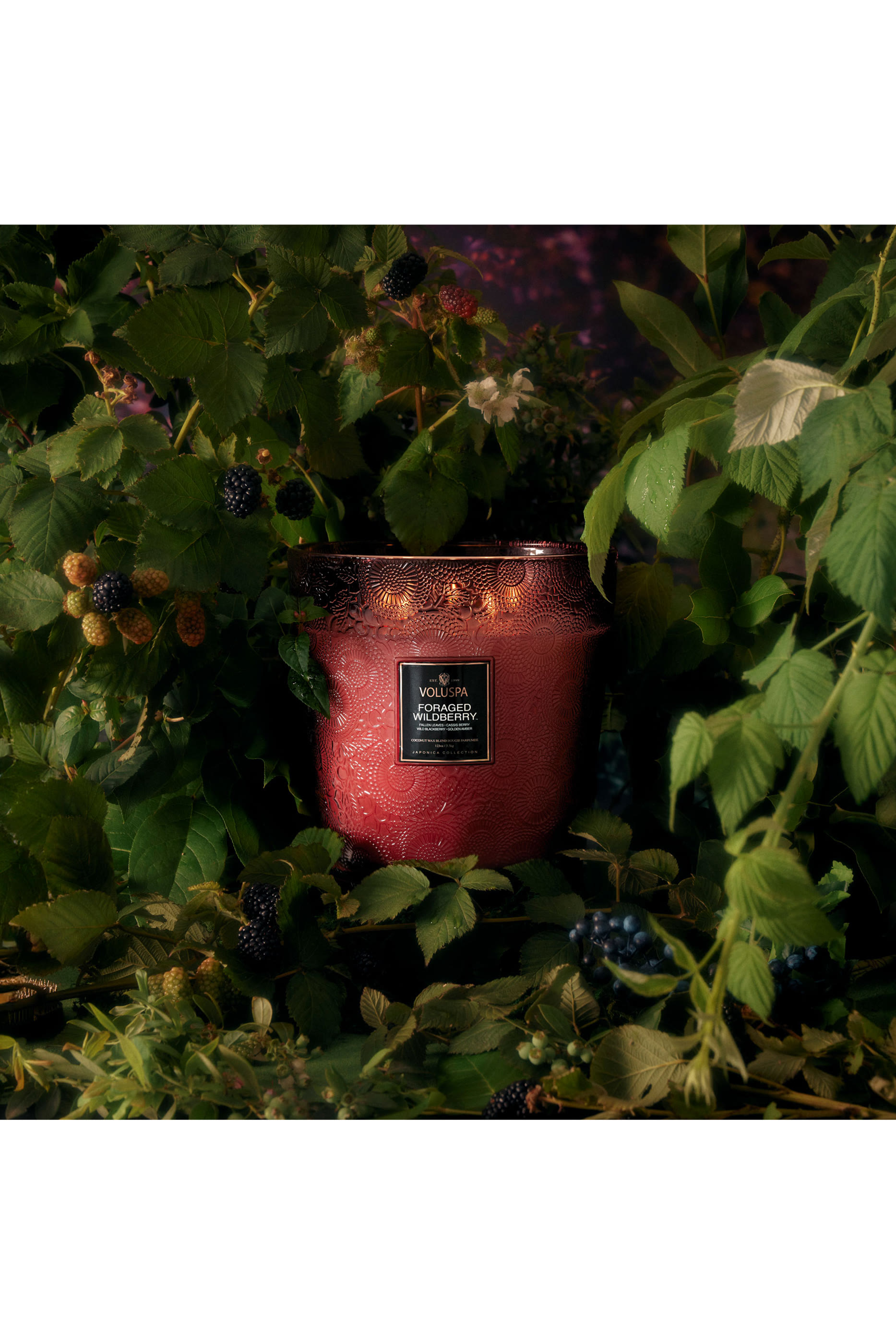 Foraged Wildberry Luxe Jar Candle