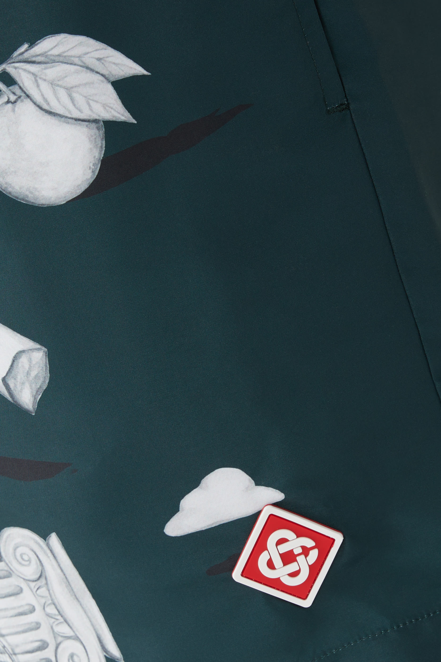 Metaphysical Swim Shorts