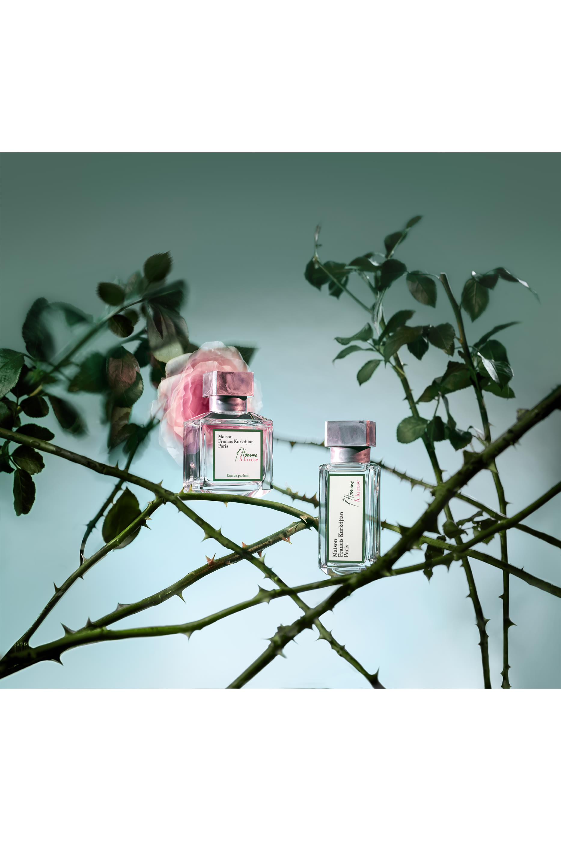 L'Homme &Agrave; la Rose Eau de Parfum