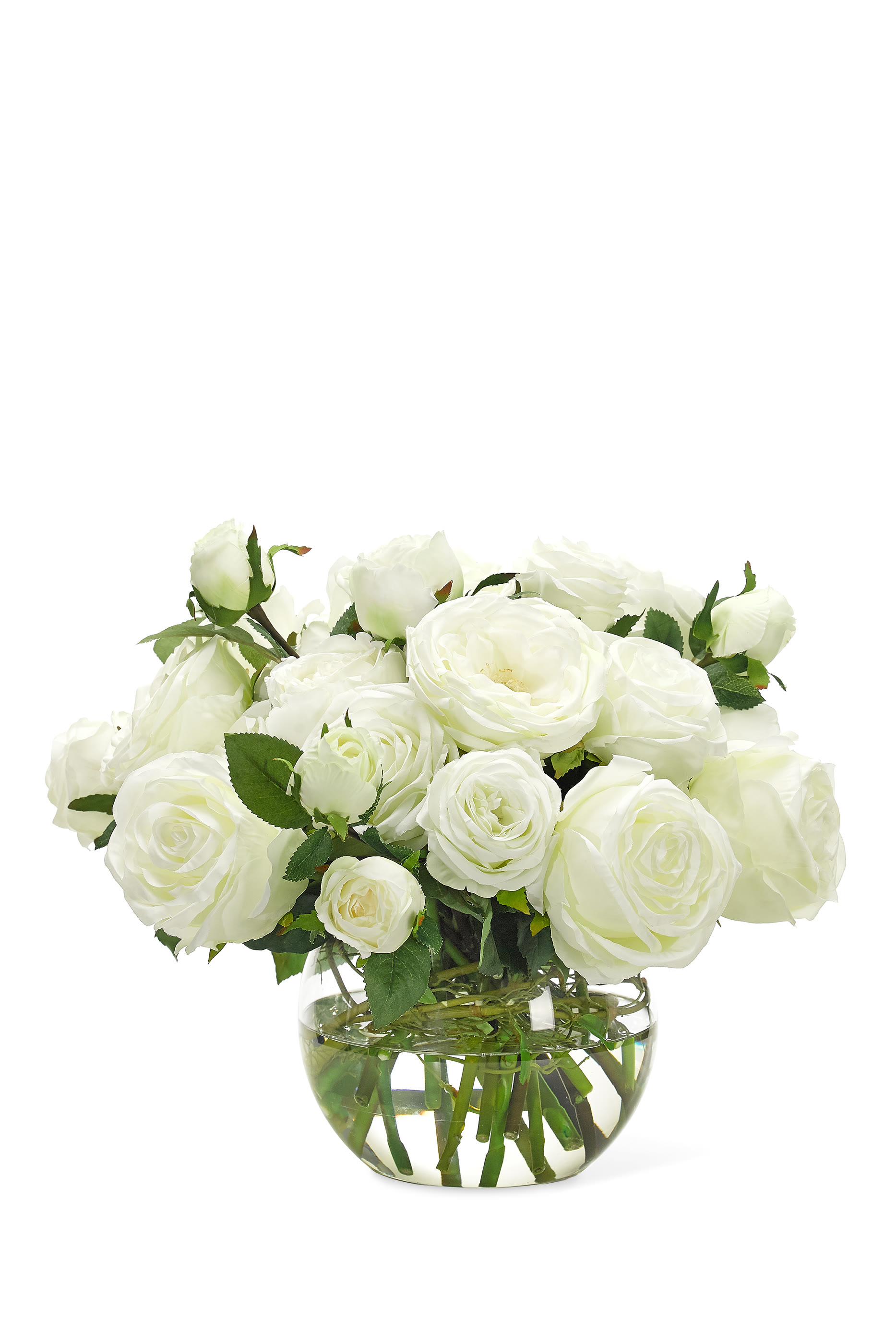 Roses With Glass Bubble