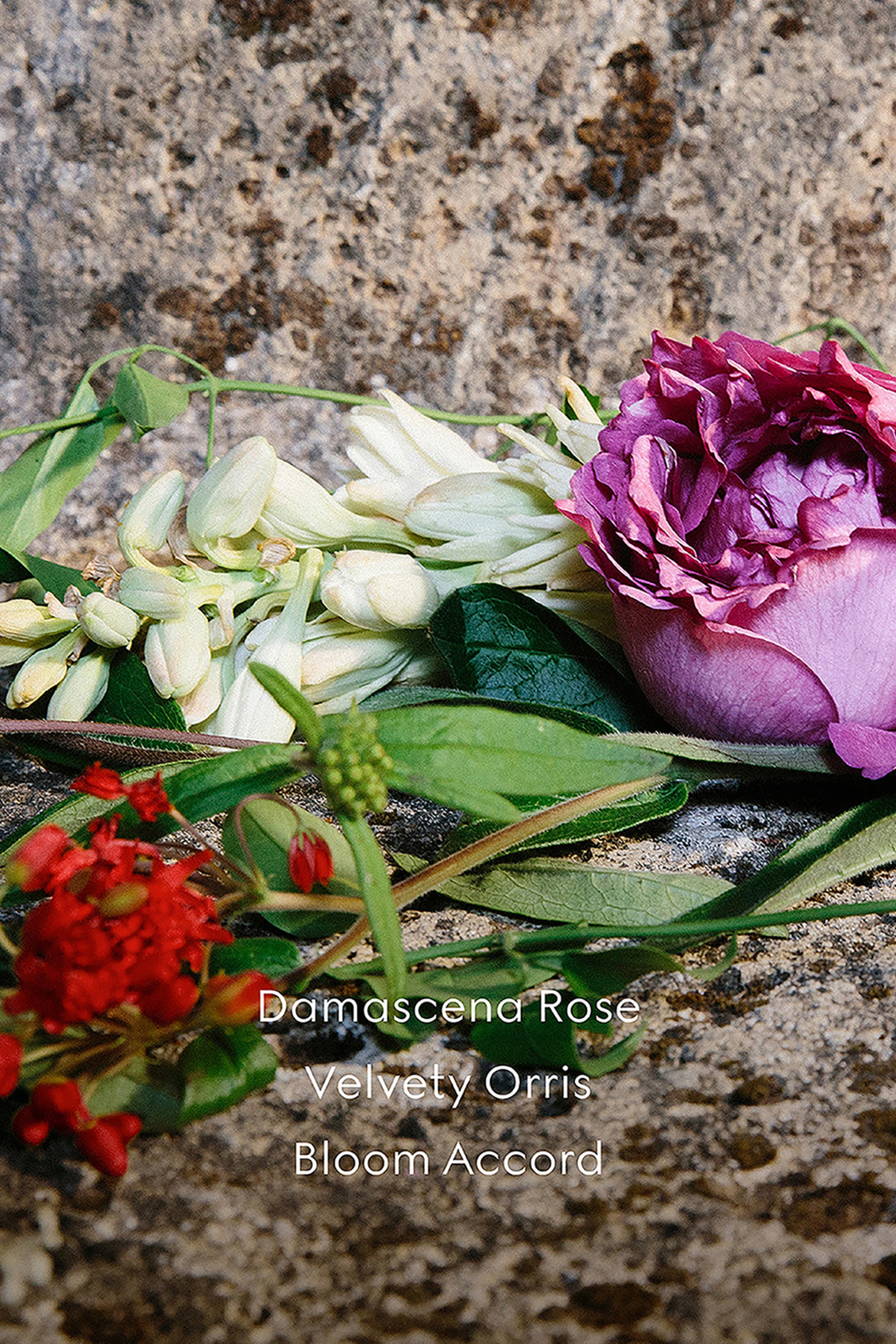 Bloom Ambrosia di Fiori Eau De Parfum