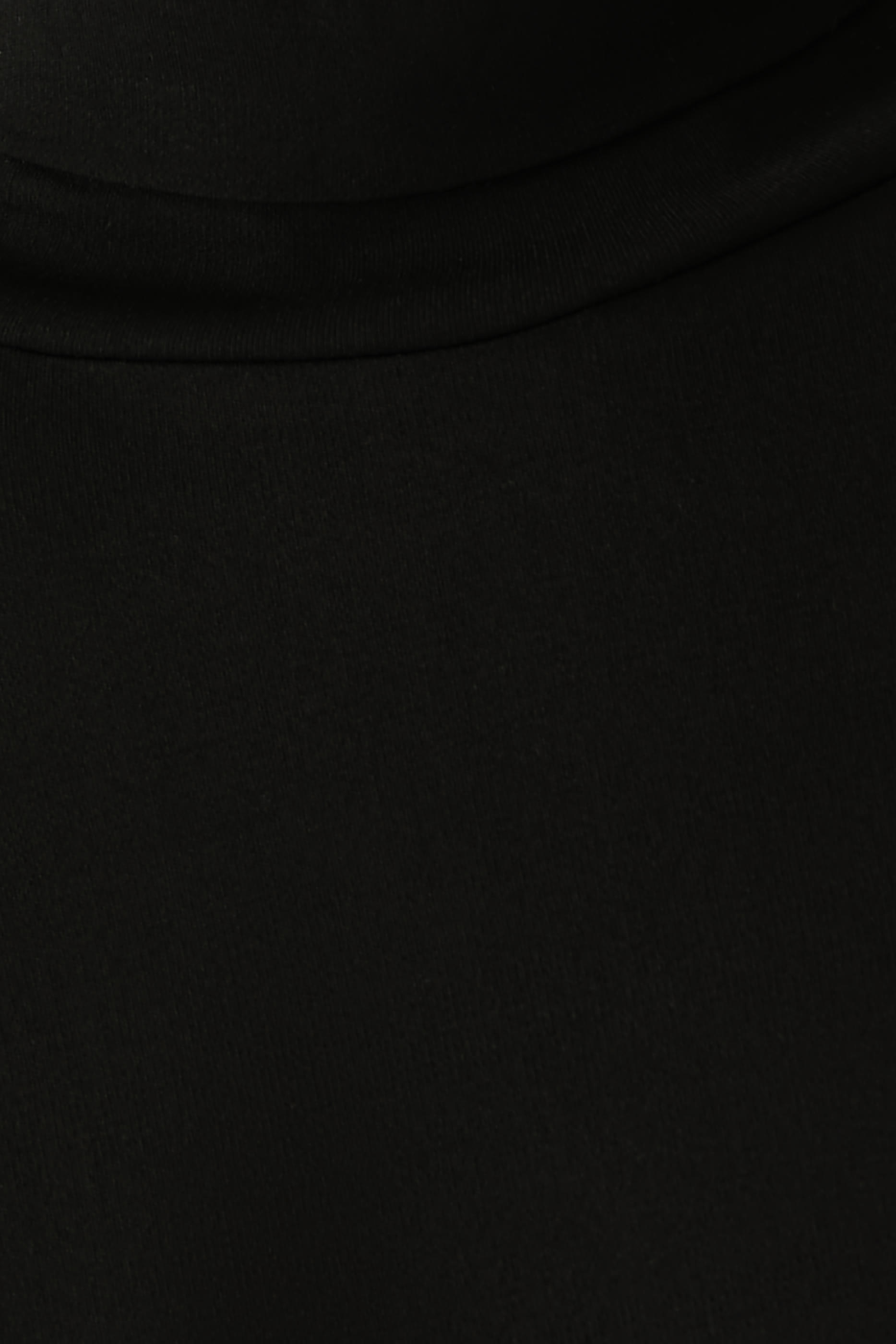 Stretch Silk Jersey Turtleneck Top